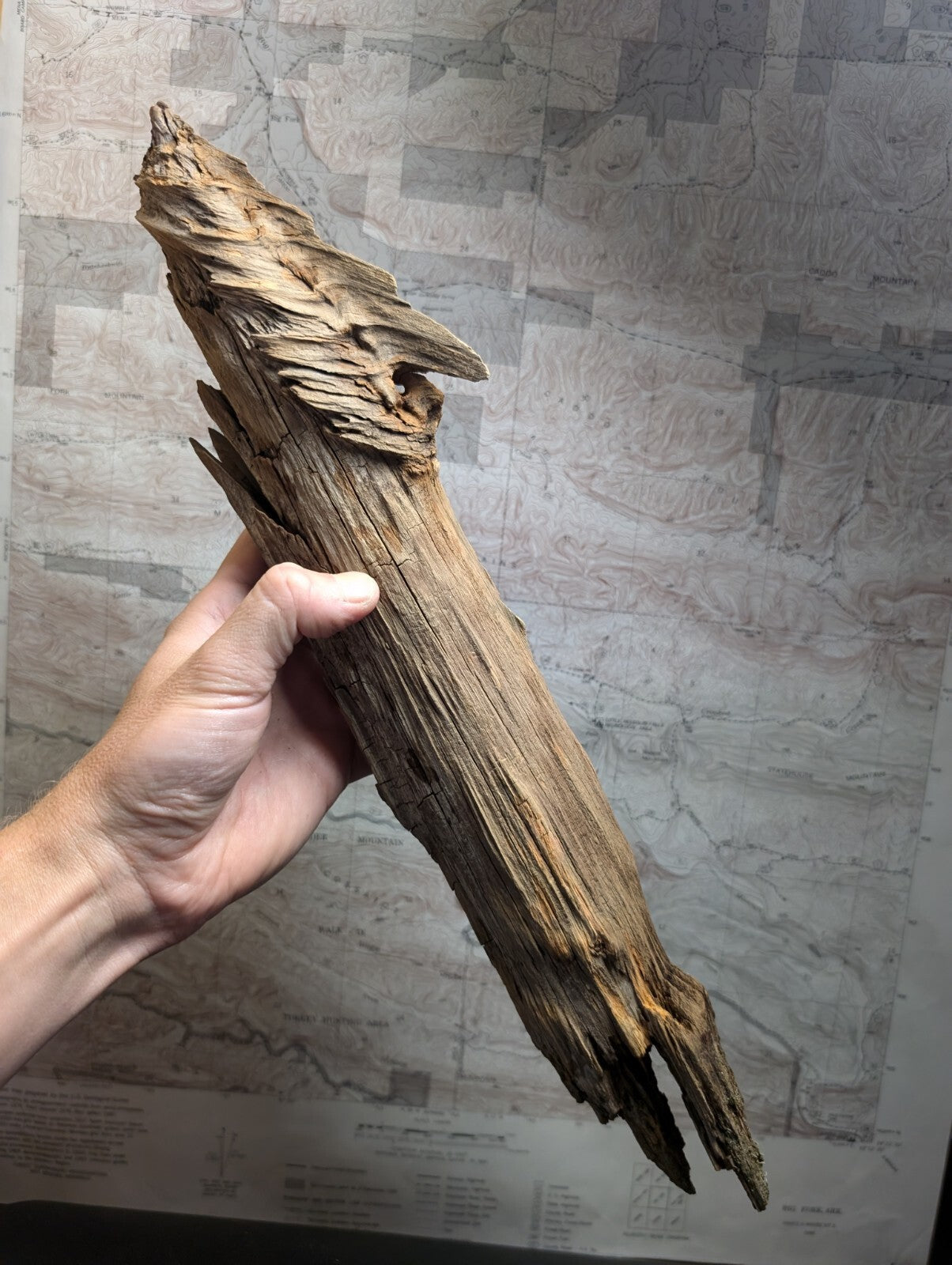 A weathered, light brown driftwood piece with a rough, textured surface and natural splits.