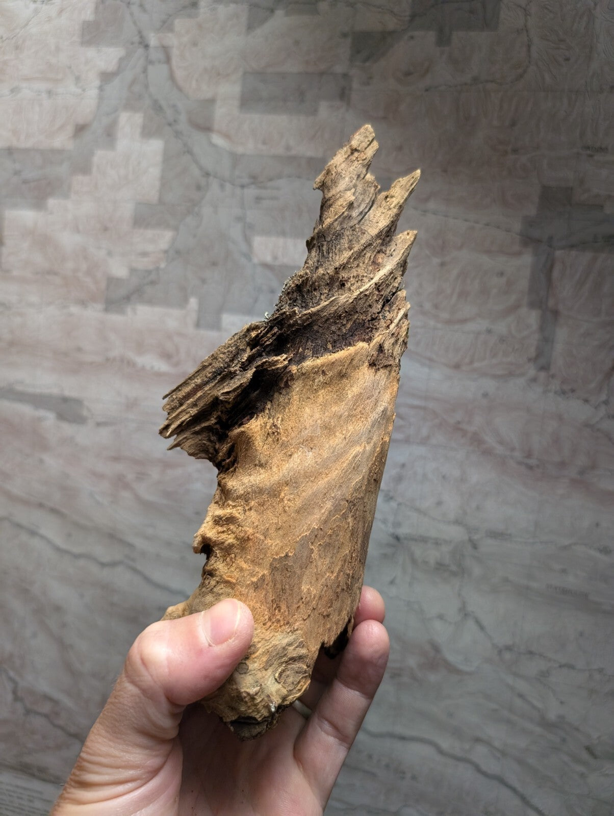 A weathered, light brown piece of driftwood with a rough, textured surface and natural, jagged edges.