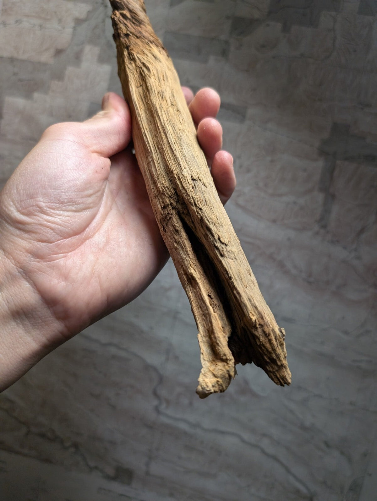 A weathered, light brown driftwood piece with a rough, textured surface and natural splits.