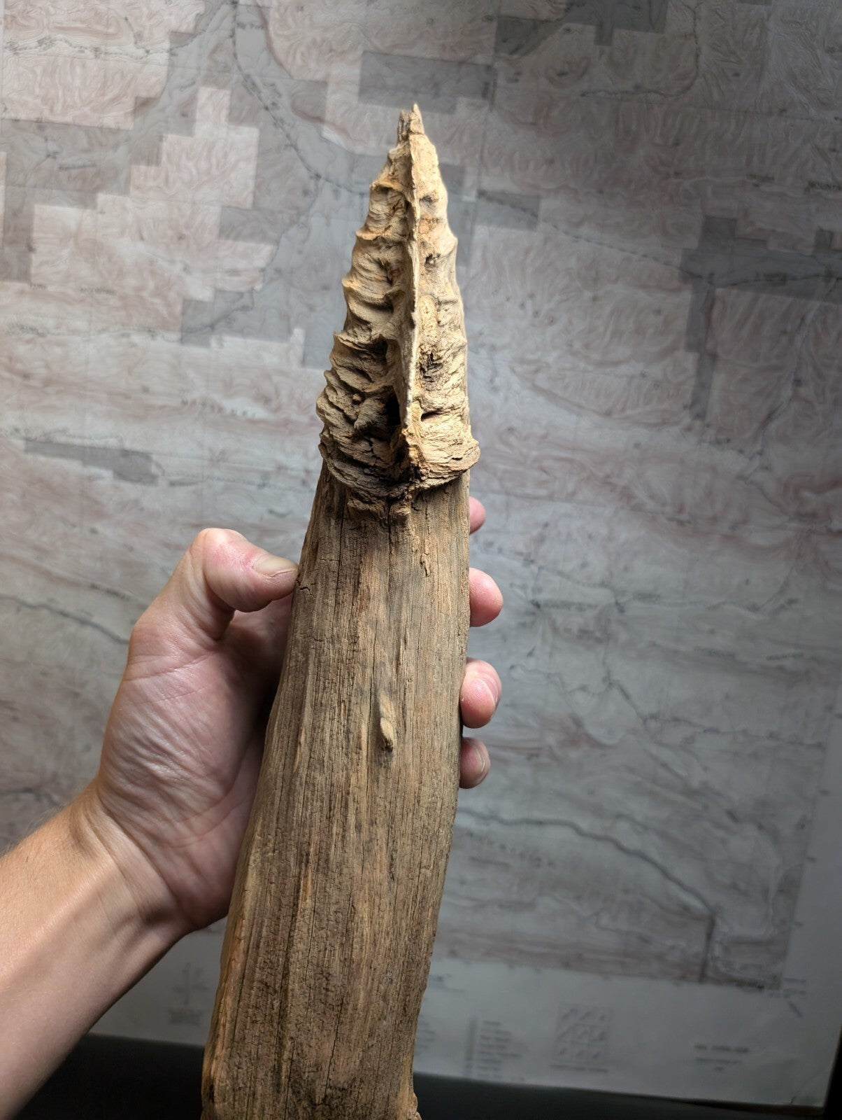 A hand holds a long, slender wooden artifact with a textured, pointed tip and natural wood grain.