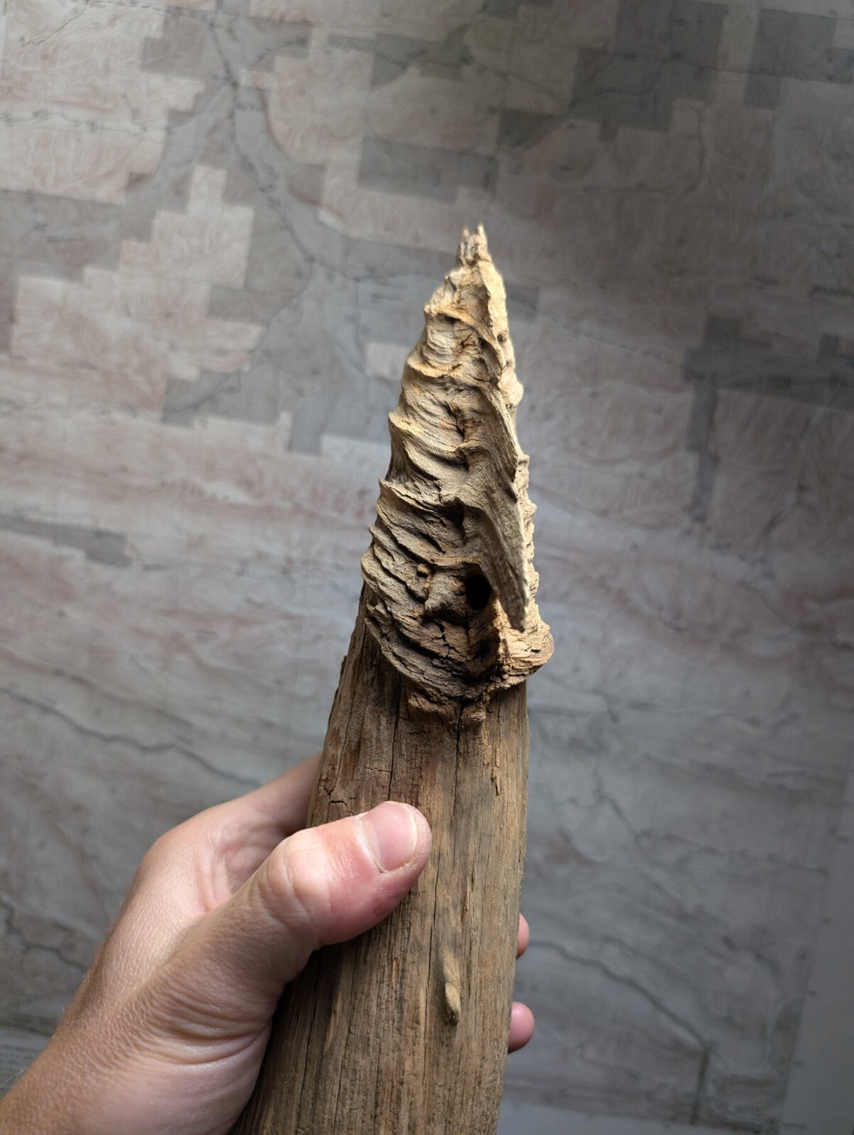 A hand holds a weathered, light brown wooden object with a textured, spiral-shaped top that appears to be carved or naturally formed.