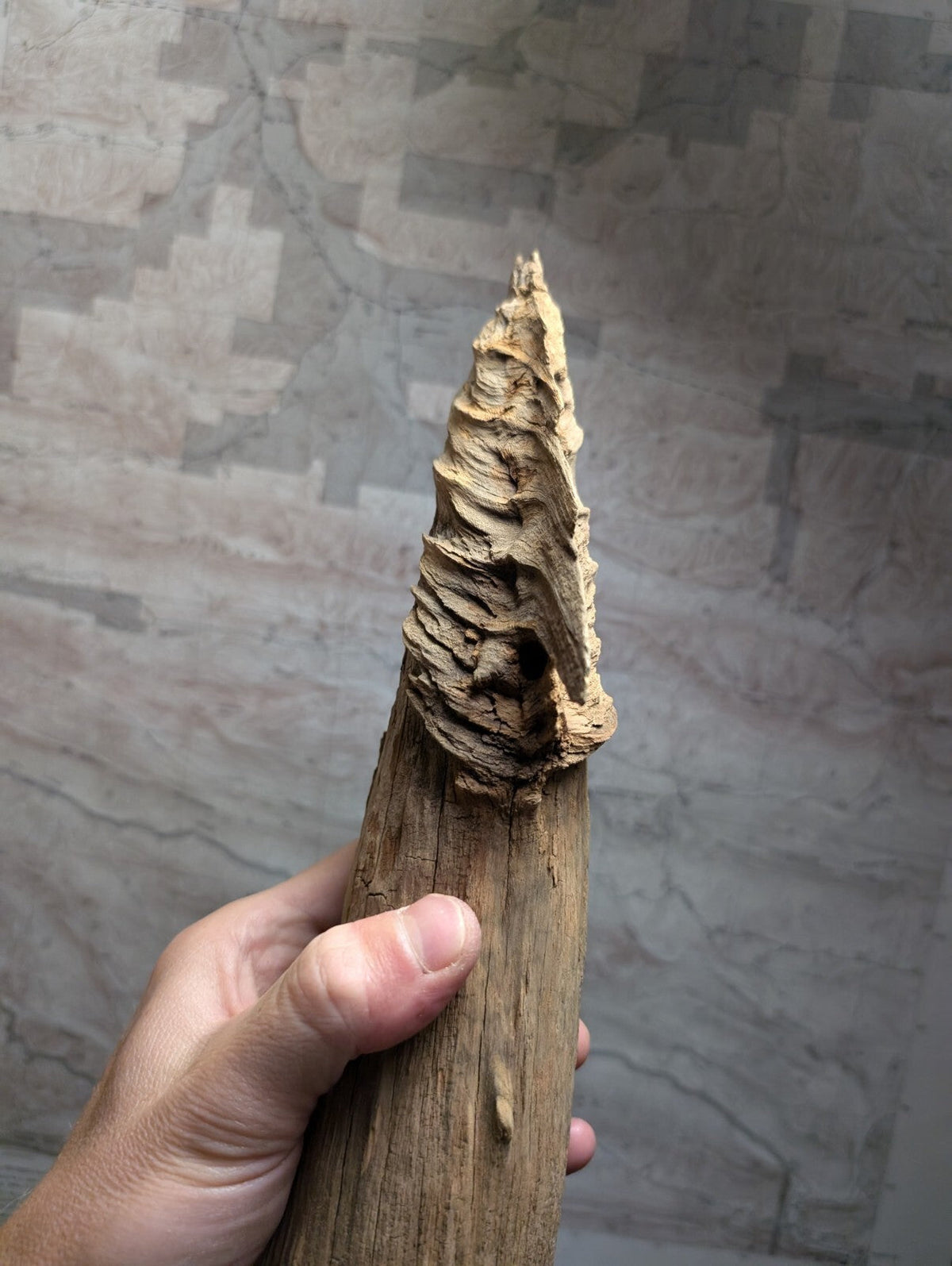 A hand holds a weathered, light brown wooden object with a textured, spiral-shaped top that appears to be carved or naturally formed.