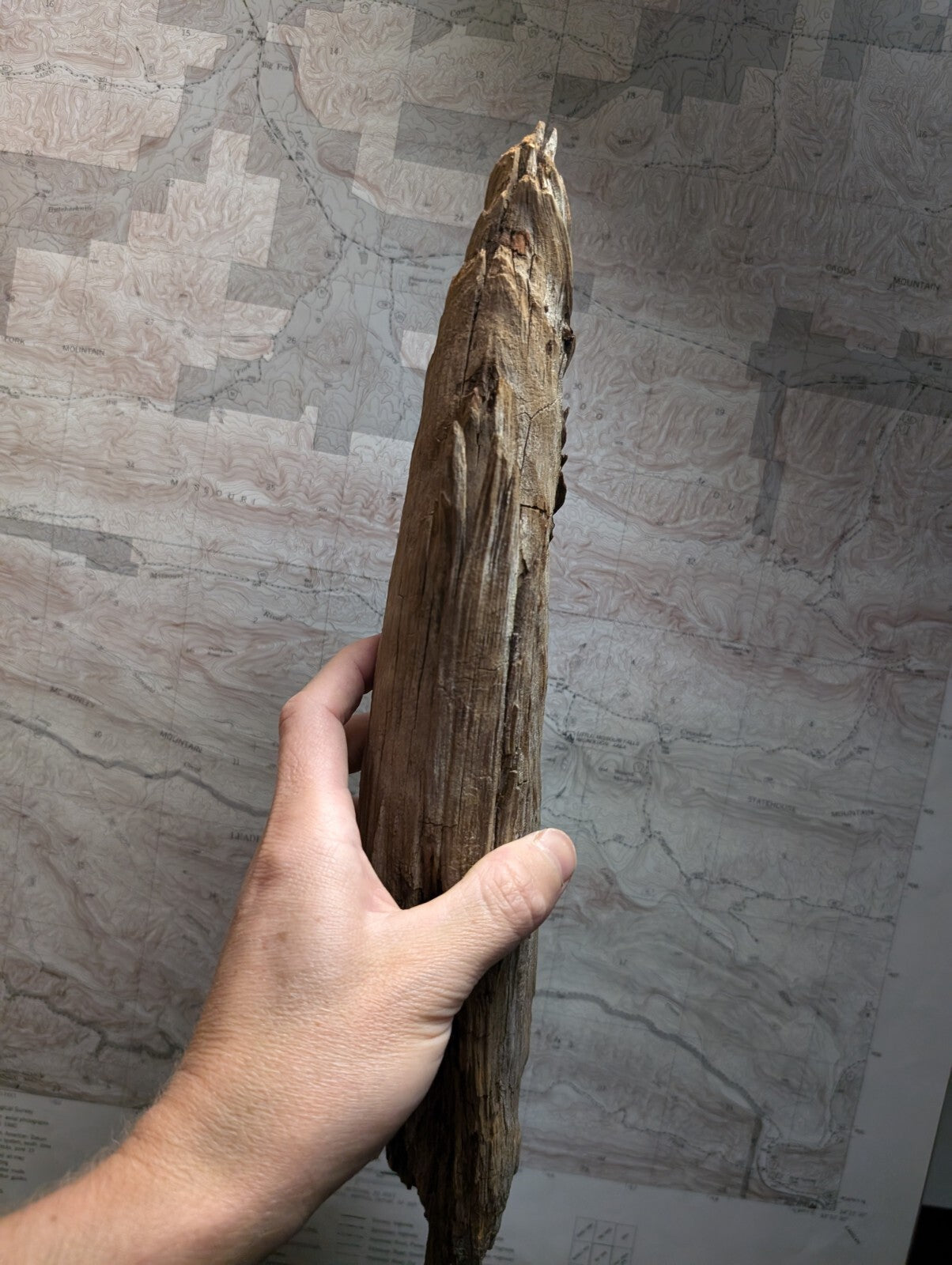 A weathered, elongated piece of driftwood with a rough, textured surface and natural brown tones.