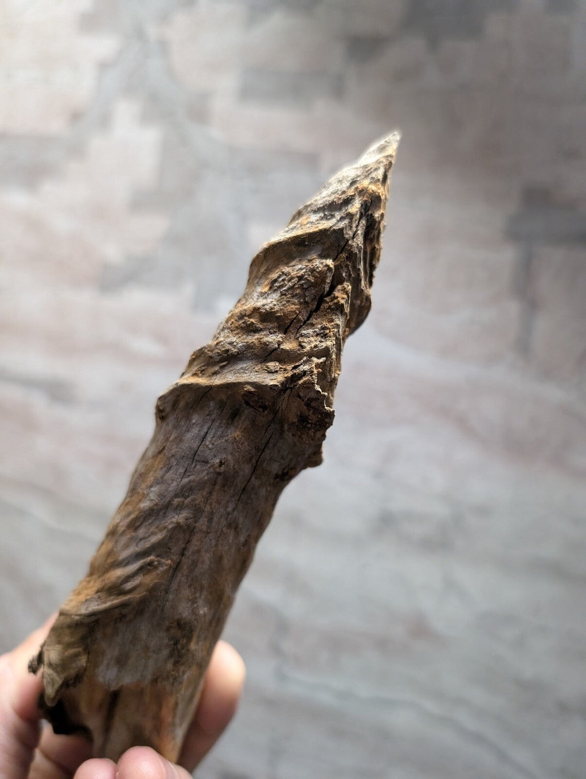 A weathered, brown wooden artifact with a rough, textured surface and pointed tip.