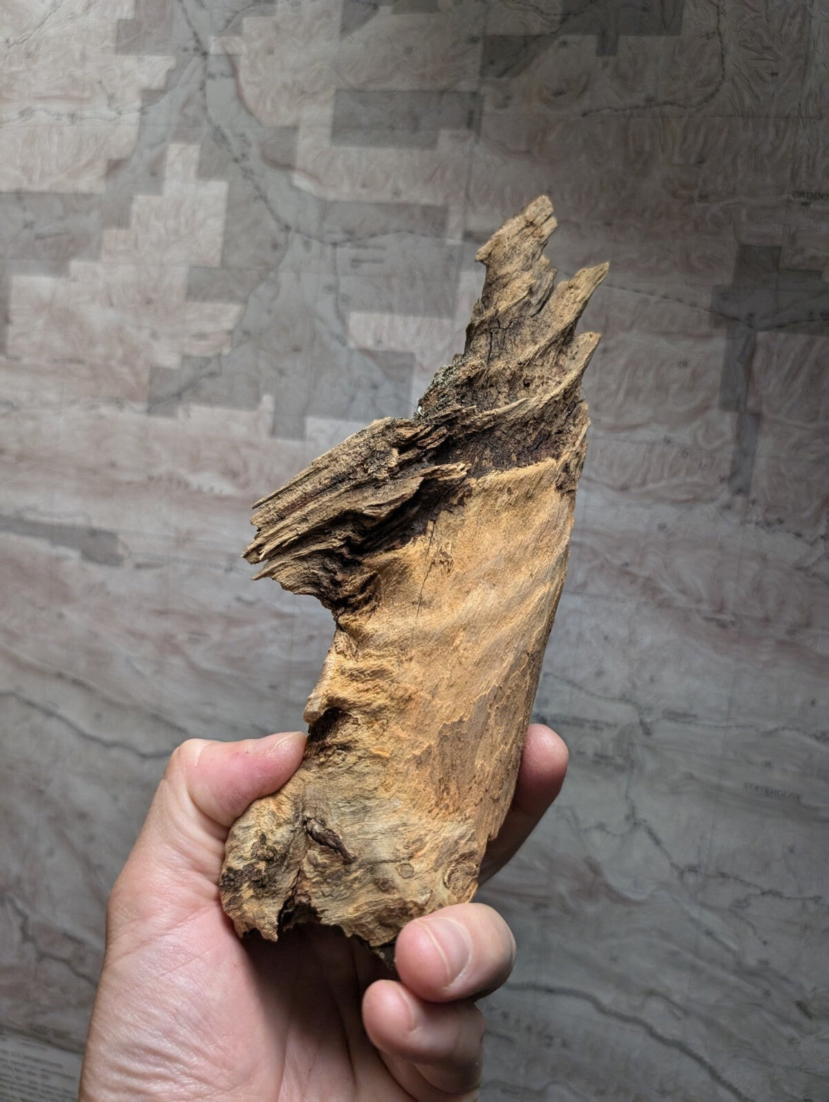 A weathered, irregularly shaped piece of driftwood with a textured surface and natural wood grain.