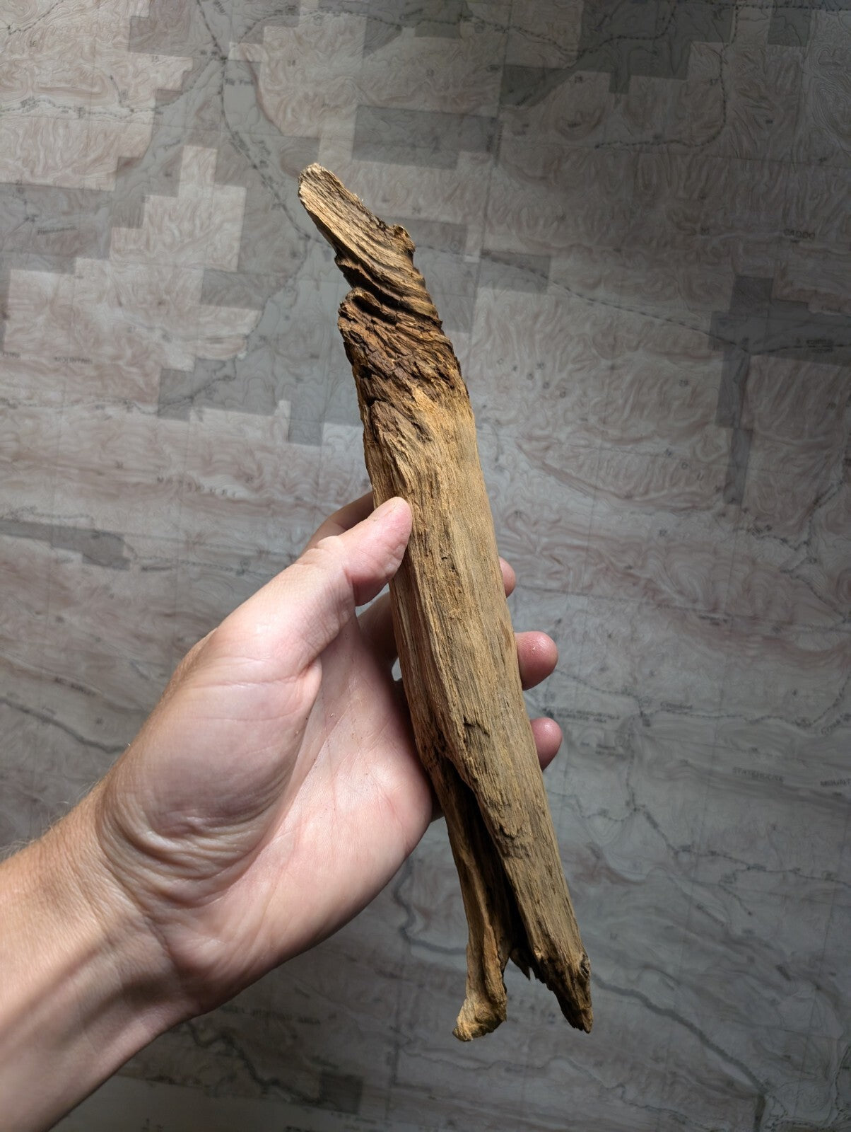 A weathered, light brown piece of driftwood with a rough, textured surface and natural twists.