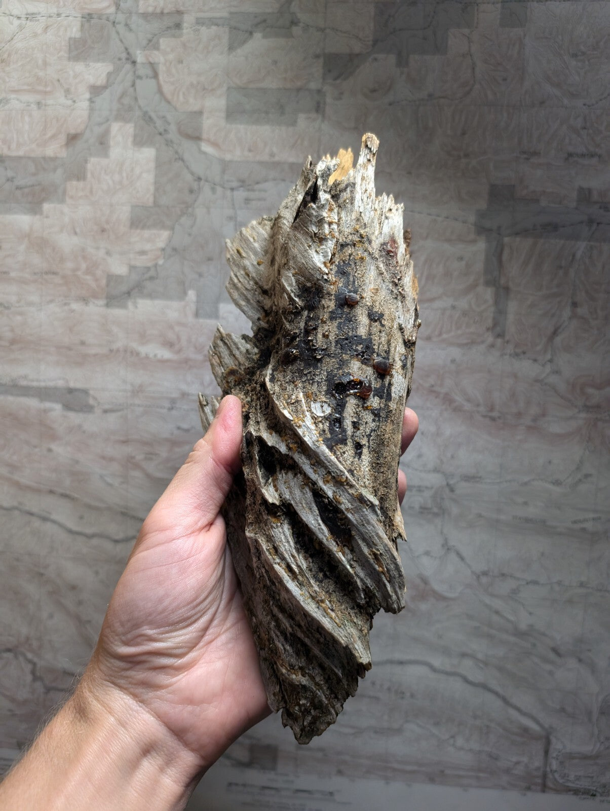 A weathered, irregularly shaped piece of dark brown and gray wood with visible grain patterns and natural imperfections.