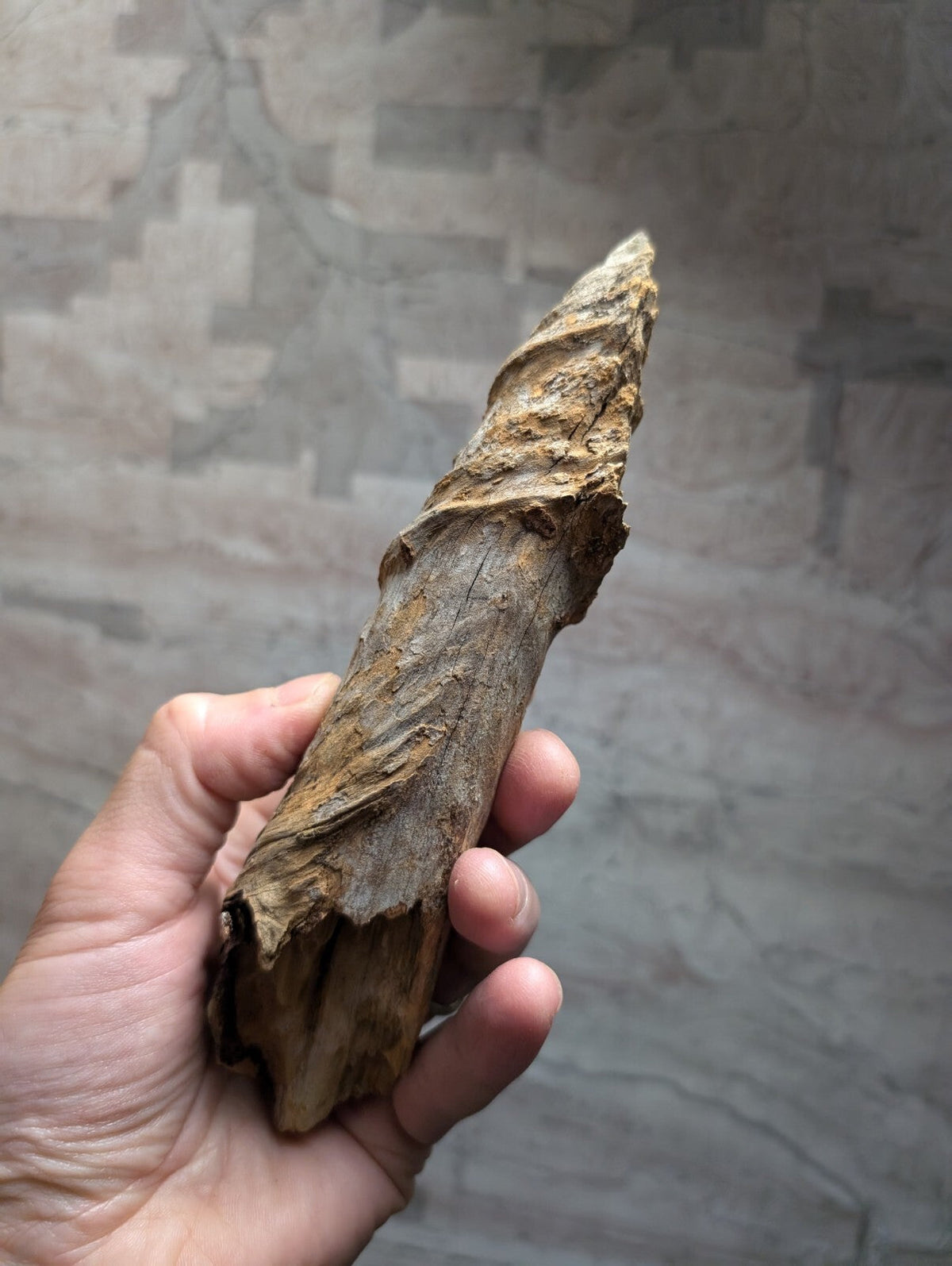 A weathered, brownish-gray dried bamboo shoot with a rough, fibrous texture and natural spiral ridges.