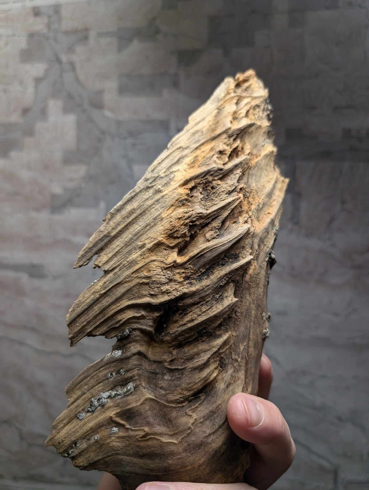 A weathered, irregularly shaped piece of driftwood with a rough, layered texture and natural brown tones.
