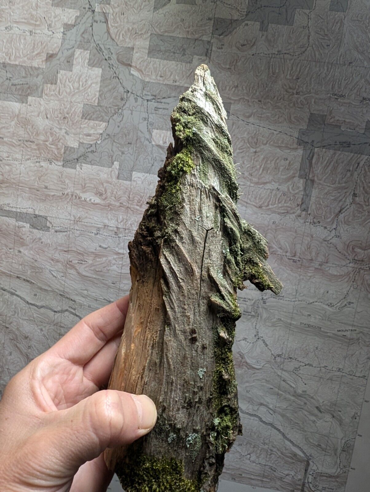 Natural Pine Knot Wooden Forest Decor Arkansas USA - Home Crafts Terrariums - Crafts:Multi-Purpose Craft