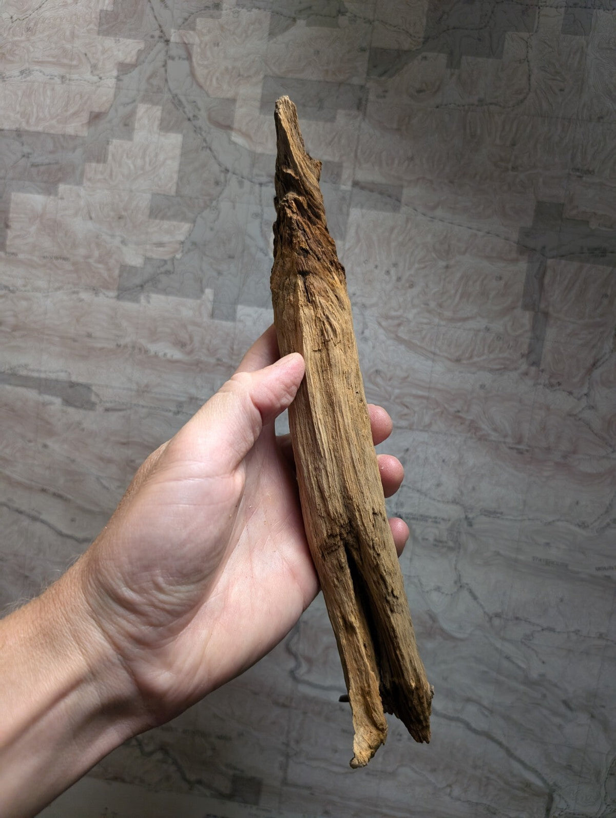 A weathered, light brown piece of driftwood with a rough texture and natural cracks.