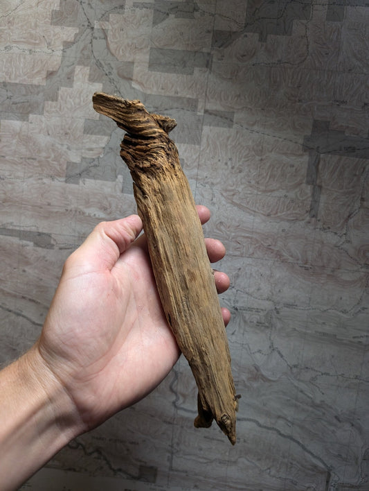 A weathered, light brown driftwood piece with a gnarled top and smooth, tapering sides.