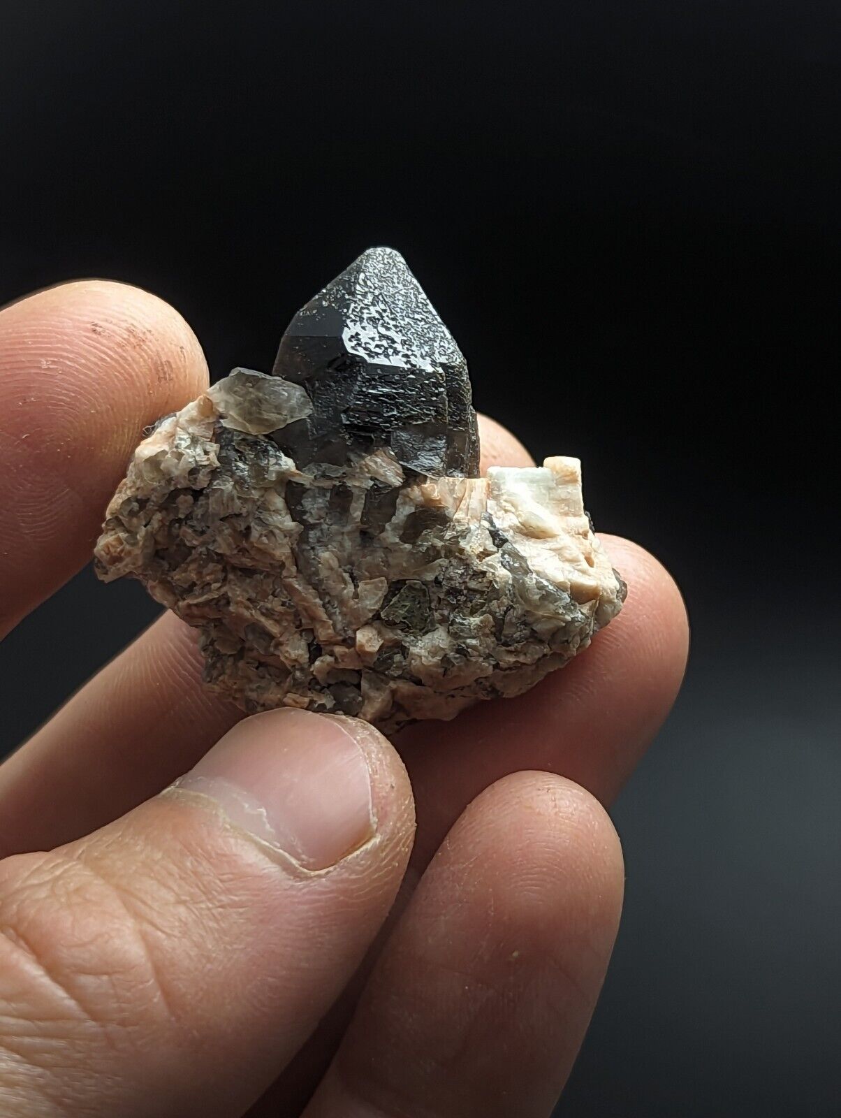 Natural Smoky Quartz Crystal on Feldspar Colorado USA - Collectibles:Rocks Fossils & Minerals:Crystals Mineral