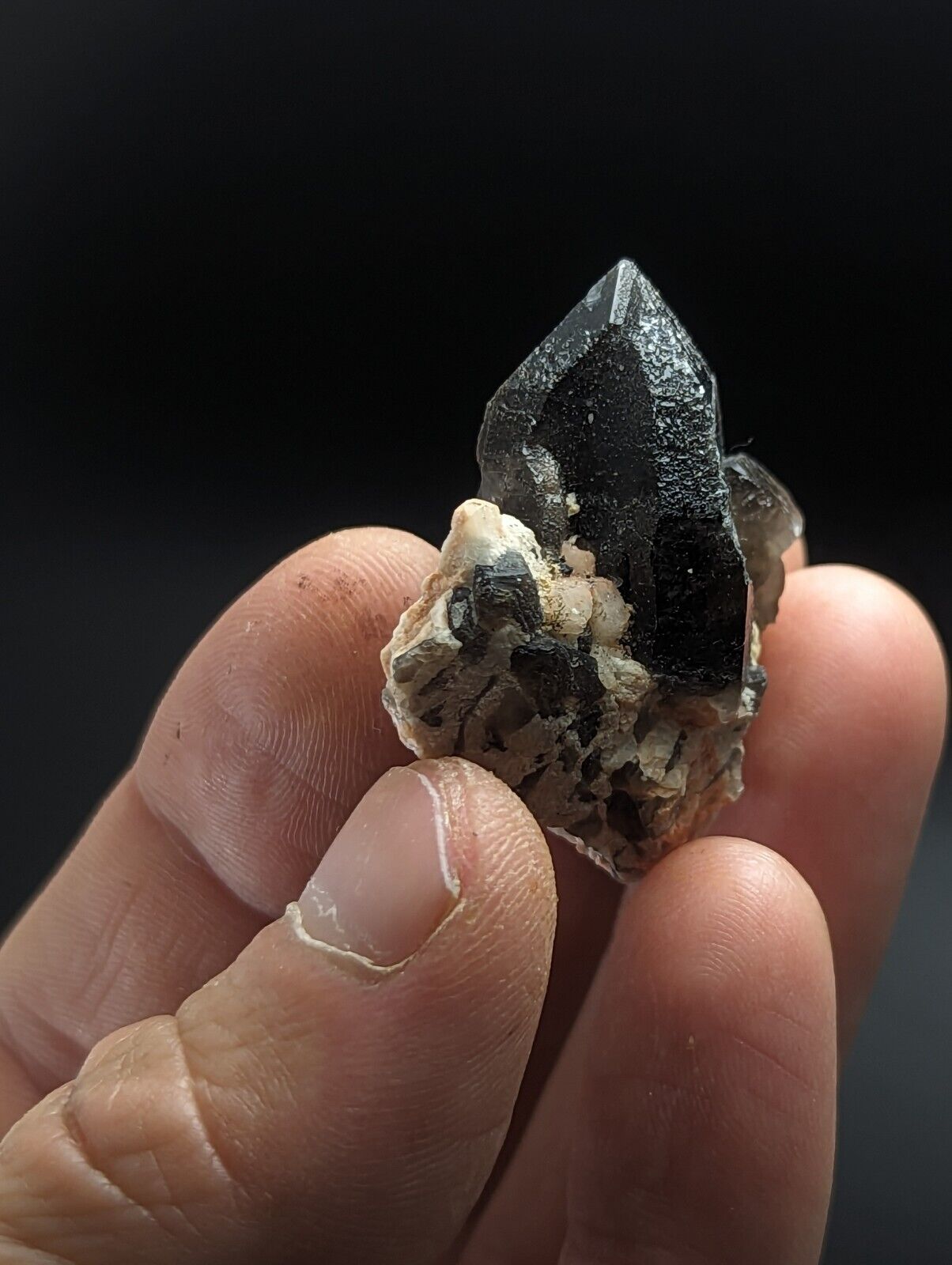 Natural Smoky Quartz Crystal on Feldspar Colorado USA - Collectibles:Rocks Fossils & Minerals:Crystals Mineral