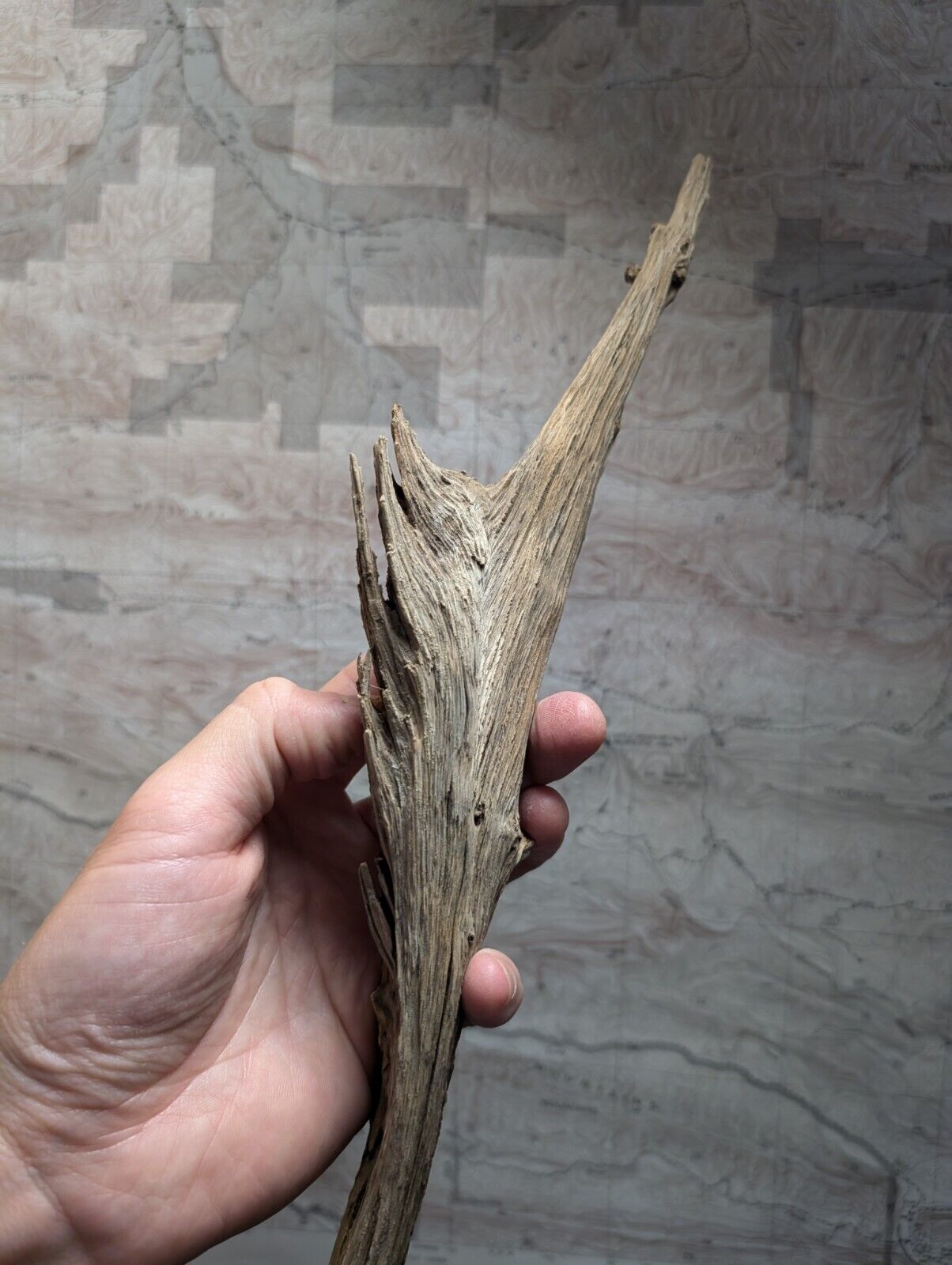 Natural Wood Forest Decor from Arkansas USA - Home Crafts Terrariums - Crafts:Multi-Purpose Craft Supplies:Crafting