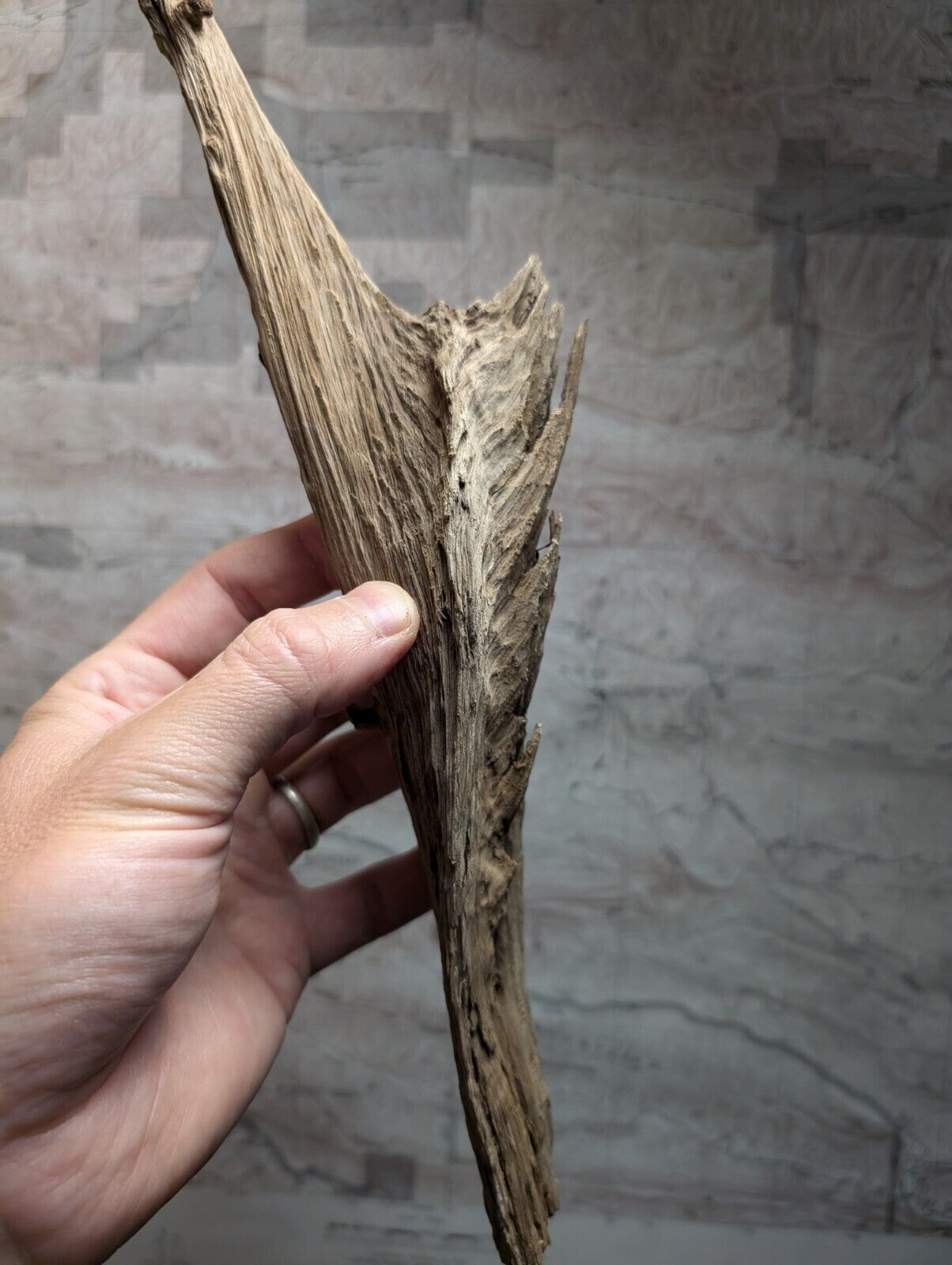 Natural Wood Forest Decor from Arkansas USA - Home Crafts Terrariums - Crafts:Multi-Purpose Craft Supplies:Crafting