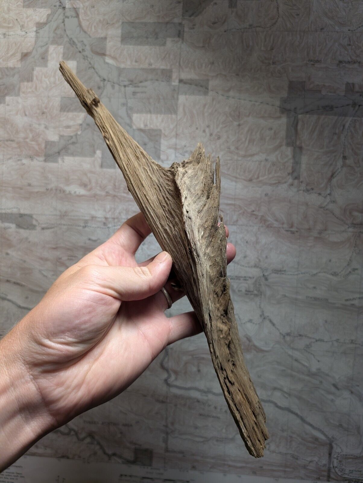 Natural Wood Forest Decor from Arkansas USA - Home Crafts Terrariums - Crafts:Multi-Purpose Craft Supplies:Crafting