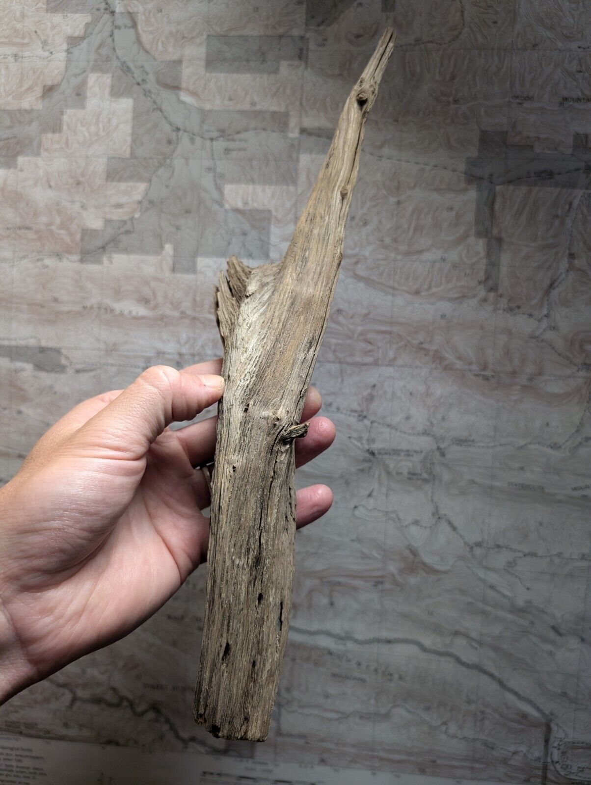 Natural Wood Forest Decor from Arkansas USA - Home Crafts Terrariums - Crafts:Multi-Purpose Craft Supplies:Crafting