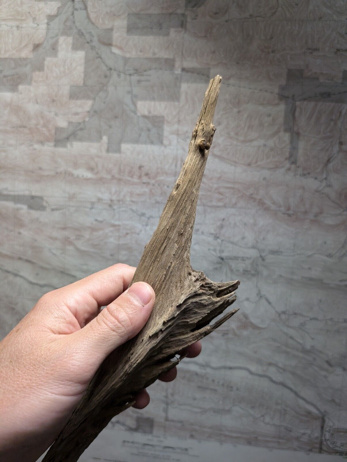 Natural Wood Forest Decor from Arkansas USA - Home Crafts Terrariums - Crafts:Multi-Purpose Craft Supplies:Crafting