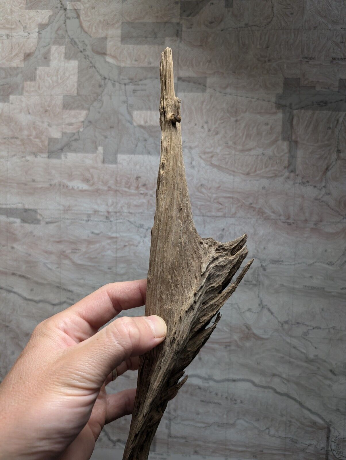 Natural Wood Forest Decor from Arkansas USA - Home Crafts Terrariums - Crafts:Multi-Purpose Craft Supplies:Crafting