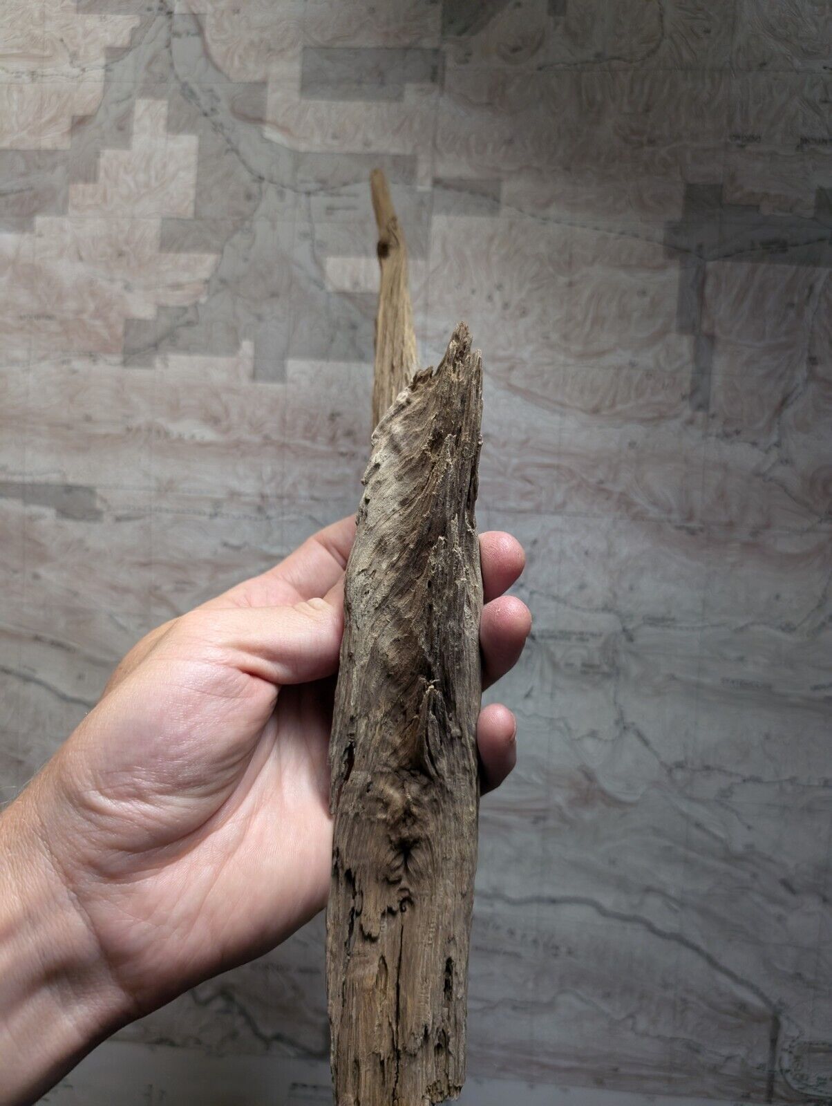 Natural Wood Forest Decor from Arkansas USA - Home Crafts Terrariums - Crafts:Multi-Purpose Craft Supplies:Crafting