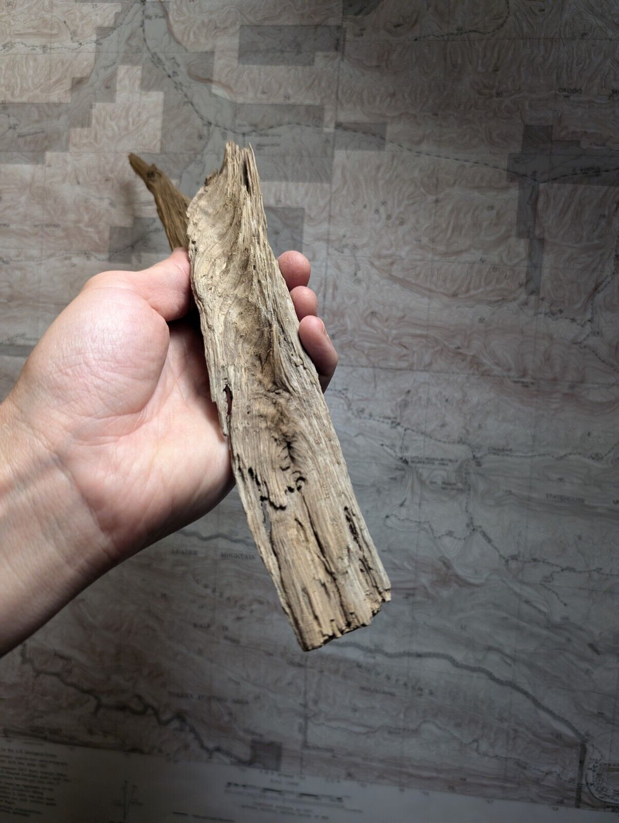 Natural Wood Forest Decor from Arkansas USA - Home Crafts Terrariums - Crafts:Multi-Purpose Craft Supplies:Crafting