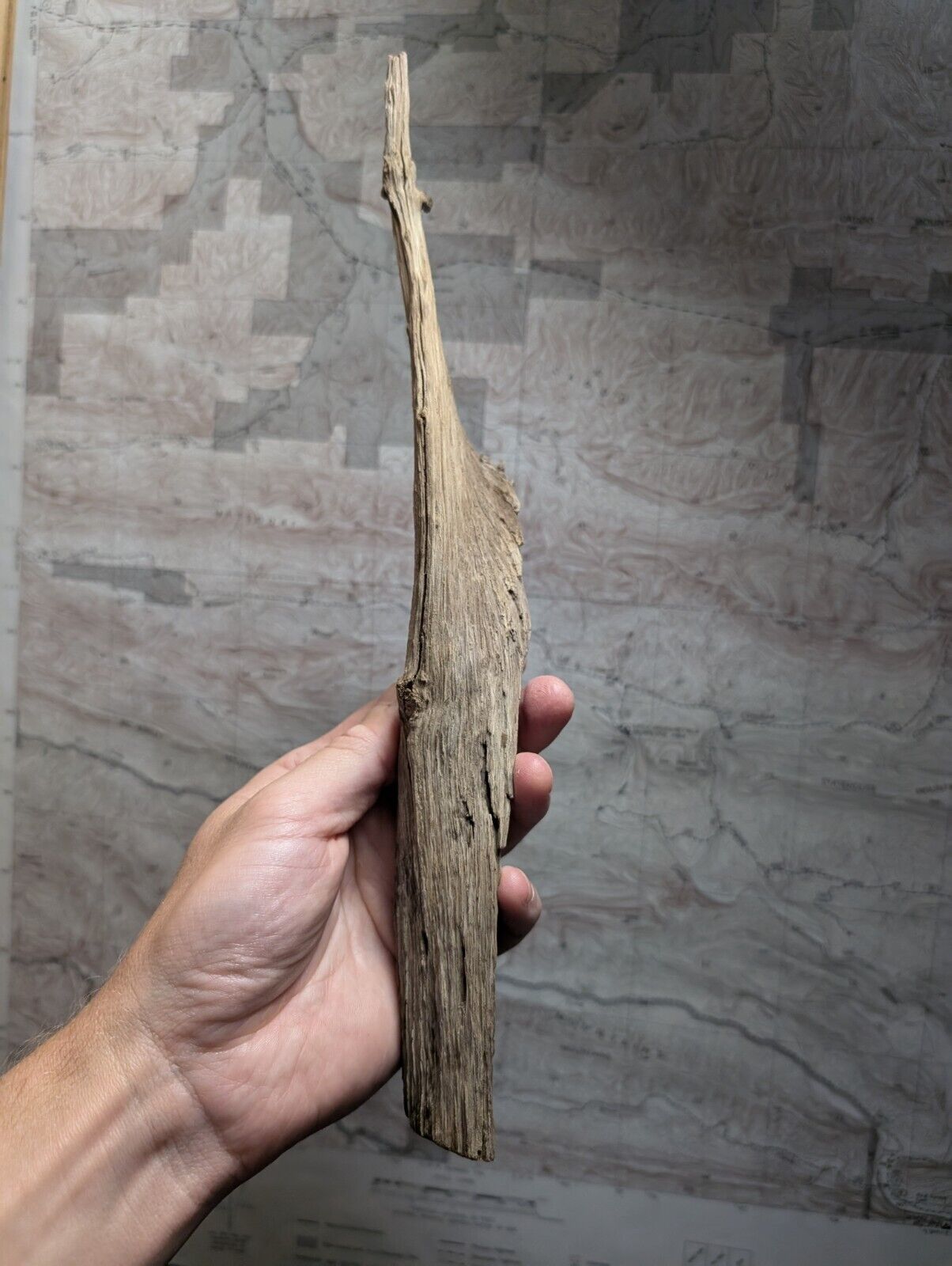 Natural Wood Forest Decor from Arkansas USA - Home Crafts Terrariums - Crafts:Multi-Purpose Craft Supplies:Crafting