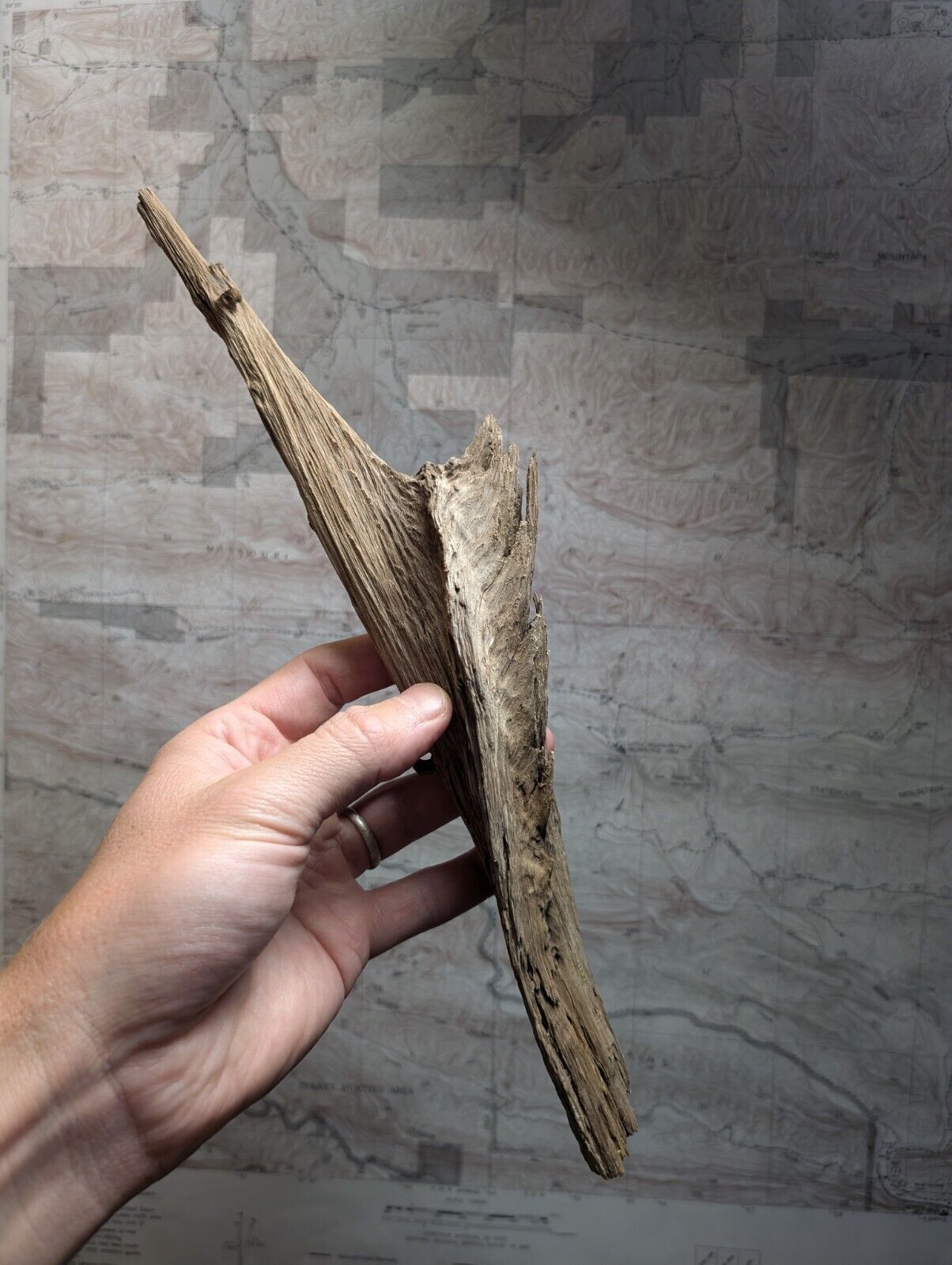 Natural Wood Forest Decor from Arkansas USA - Home Crafts Terrariums - Crafts:Multi-Purpose Craft Supplies:Crafting