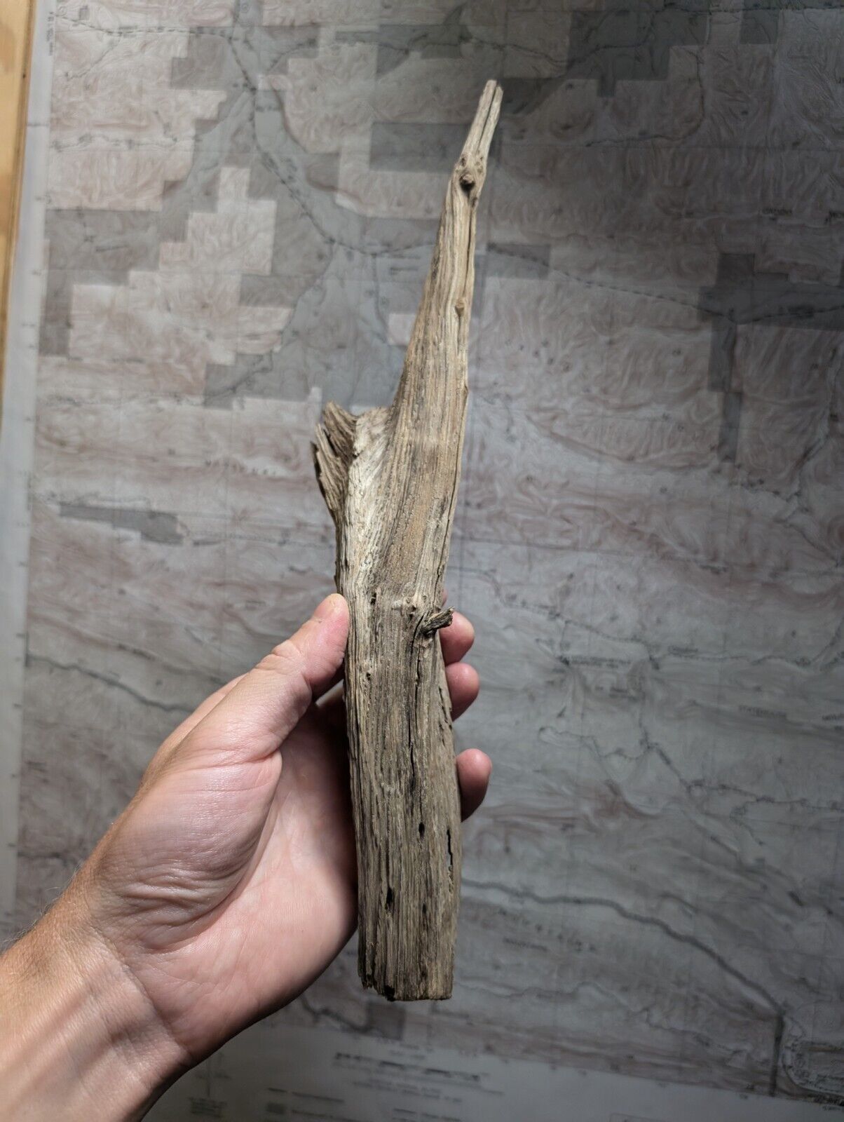 Natural Wood Forest Decor from Arkansas USA - Home Crafts Terrariums - Crafts:Multi-Purpose Craft Supplies:Crafting