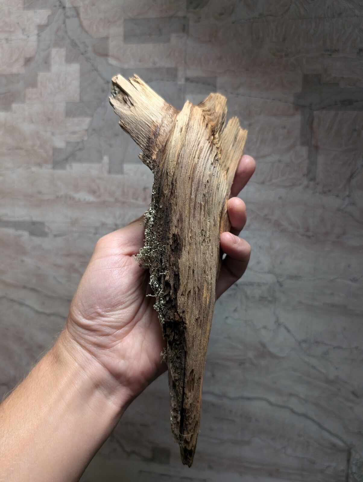 Natural Wood with Moss - Forest Decor - Arkansas USA - Home Crafts Terrariums - Crafts:Multi-Purpose Craft