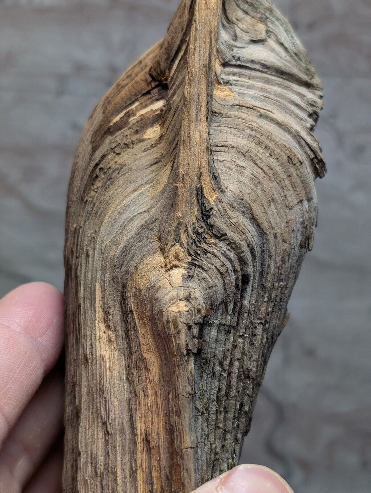 Natural Wood with Moss - Forest Decor - Arkansas USA - Home Crafts Terrariums - Crafts:Multi-Purpose Craft