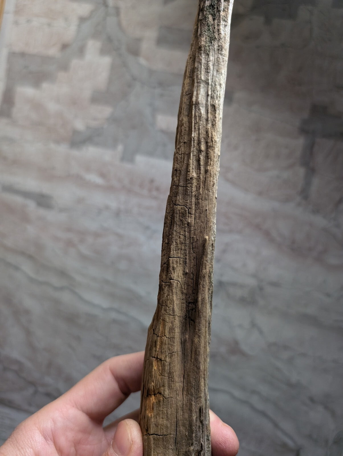 A weathered, elongated piece of driftwood with a rough, cracked surface and natural brown tones.
