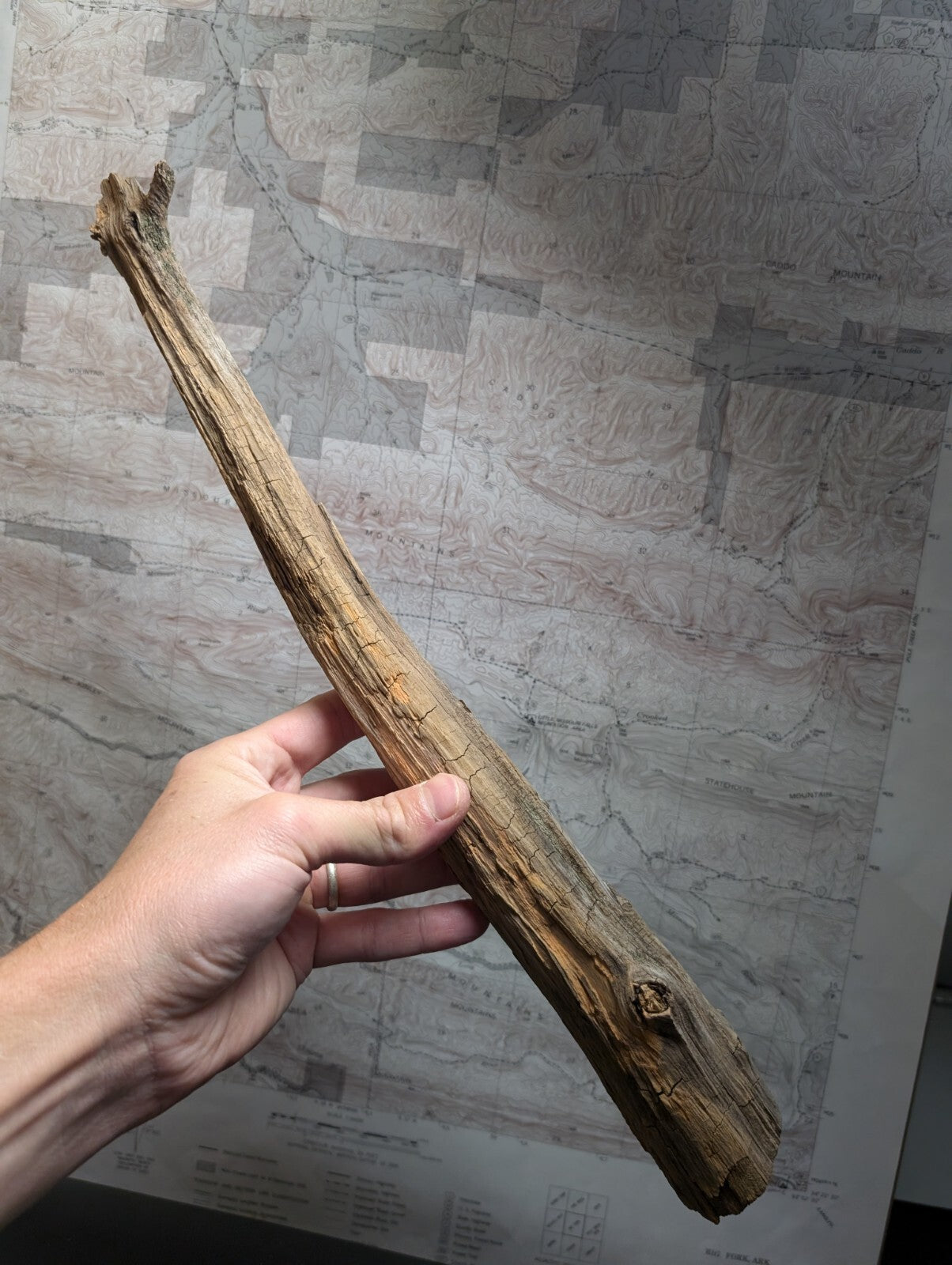 A weathered, light brown driftwood piece with a rough texture and natural knots.
