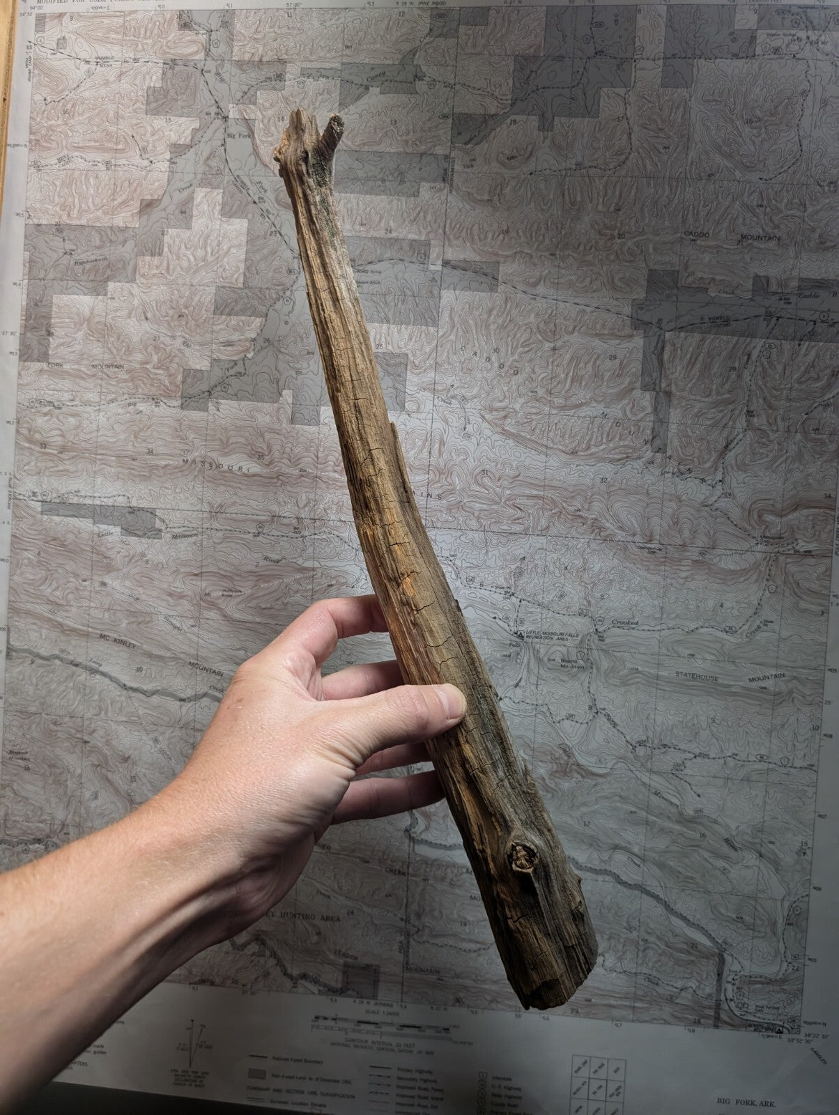 A weathered, elongated piece of driftwood with a rough, textured surface and natural brown tones.