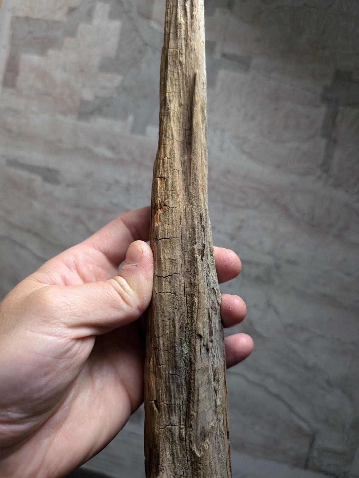 A weathered, light brown wooden stick with visible cracks and a tapered shape.