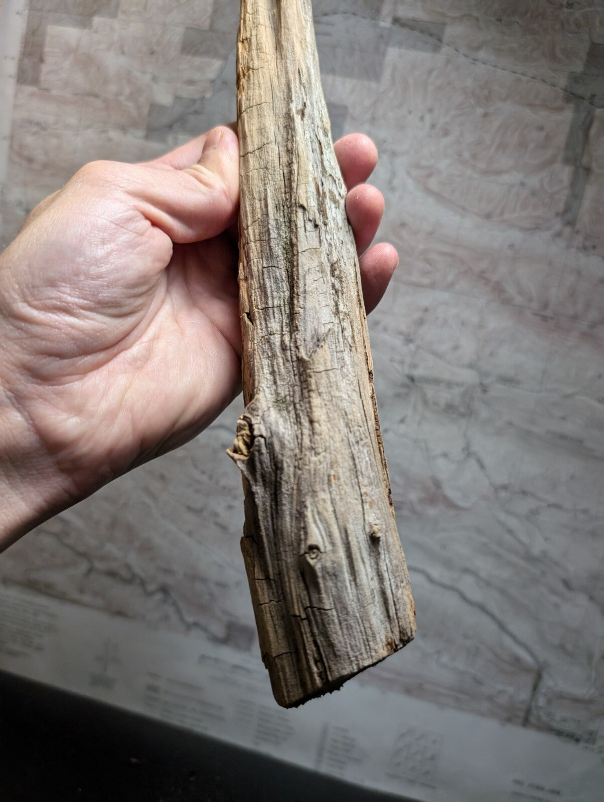 A weathered, light brown driftwood piece with a rough, textured surface and natural cracks.