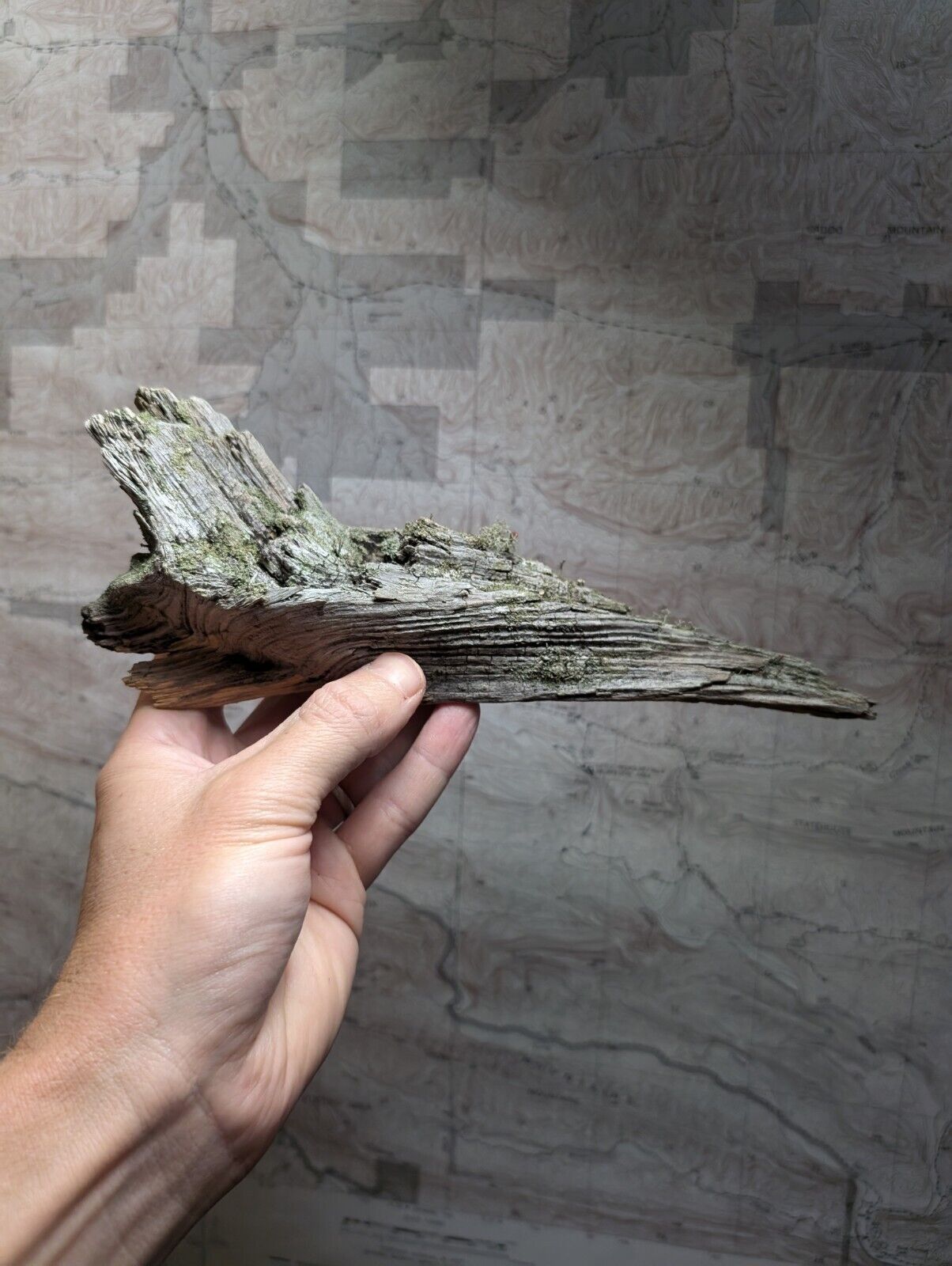 Natural Wood with Moss - Forest Decor - Arkansas USA - Home Crafts Terrariums - Crafts:Multi-Purpose Craft