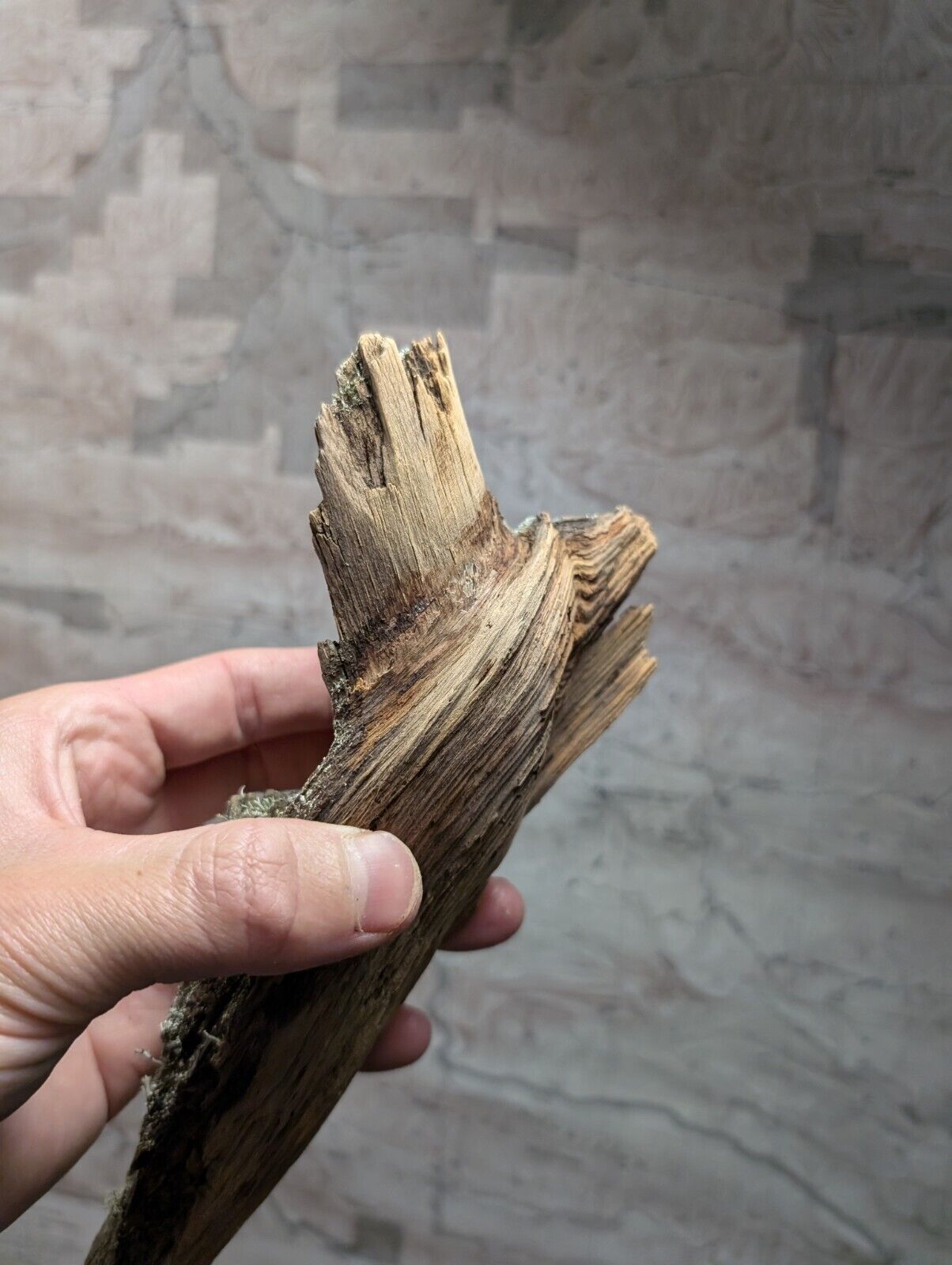 Natural Wood with Moss - Forest Decor - Arkansas USA - Home Crafts Terrariums - Crafts:Multi-Purpose Craft