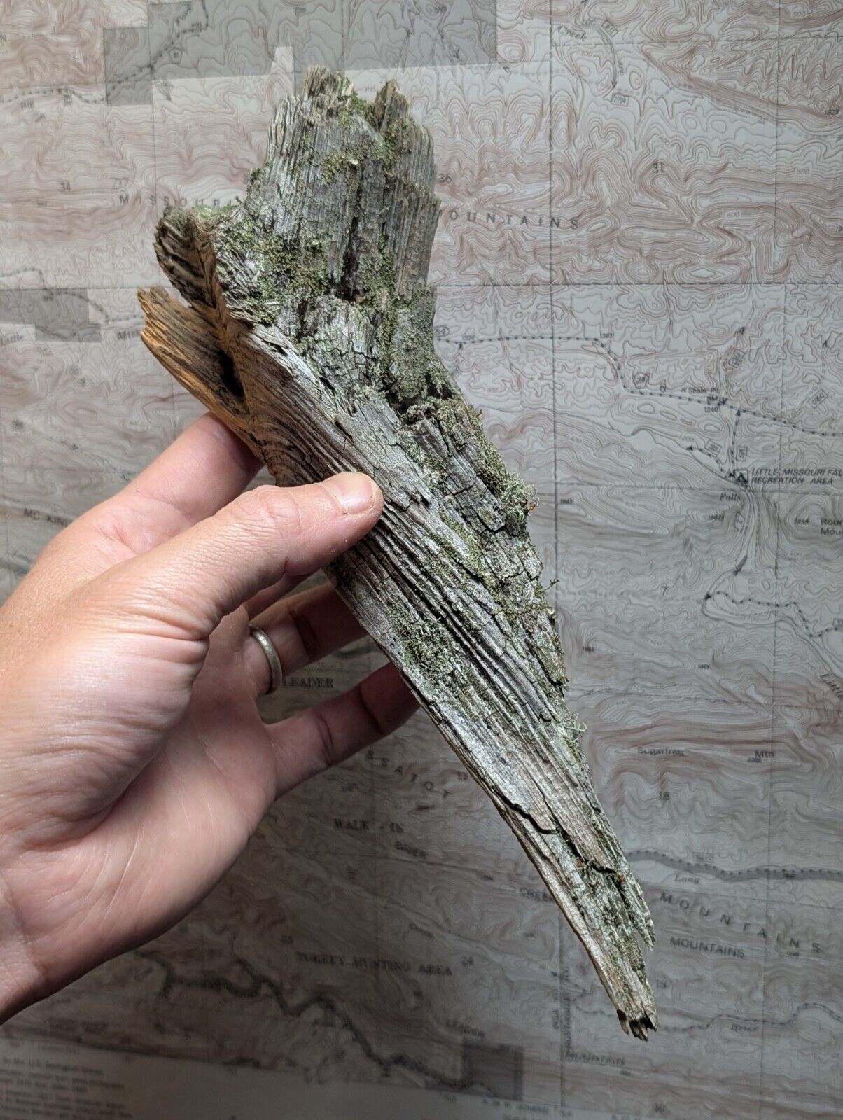 Natural Wood with Moss - Forest Decor - Arkansas USA - Home Crafts Terrariums - Crafts:Multi-Purpose Craft