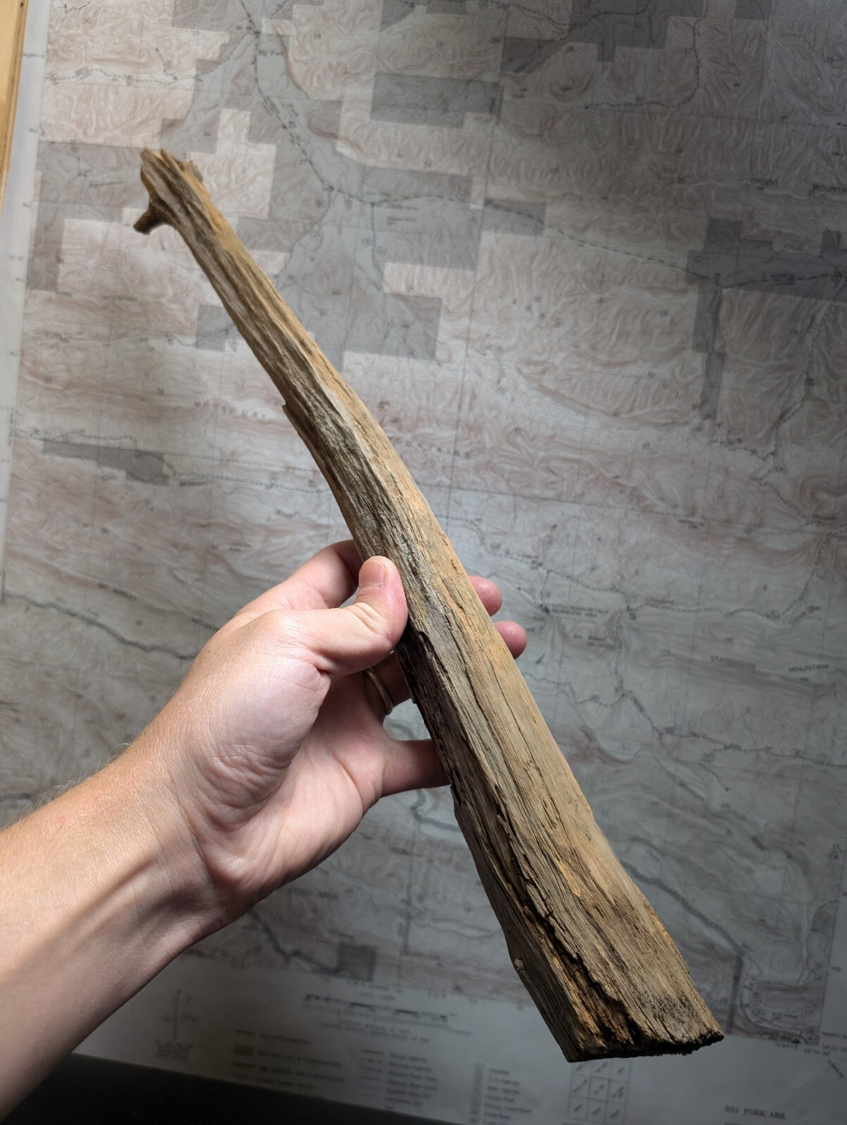 A weathered, light brown driftwood piece with a rough texture and natural, irregular shape.