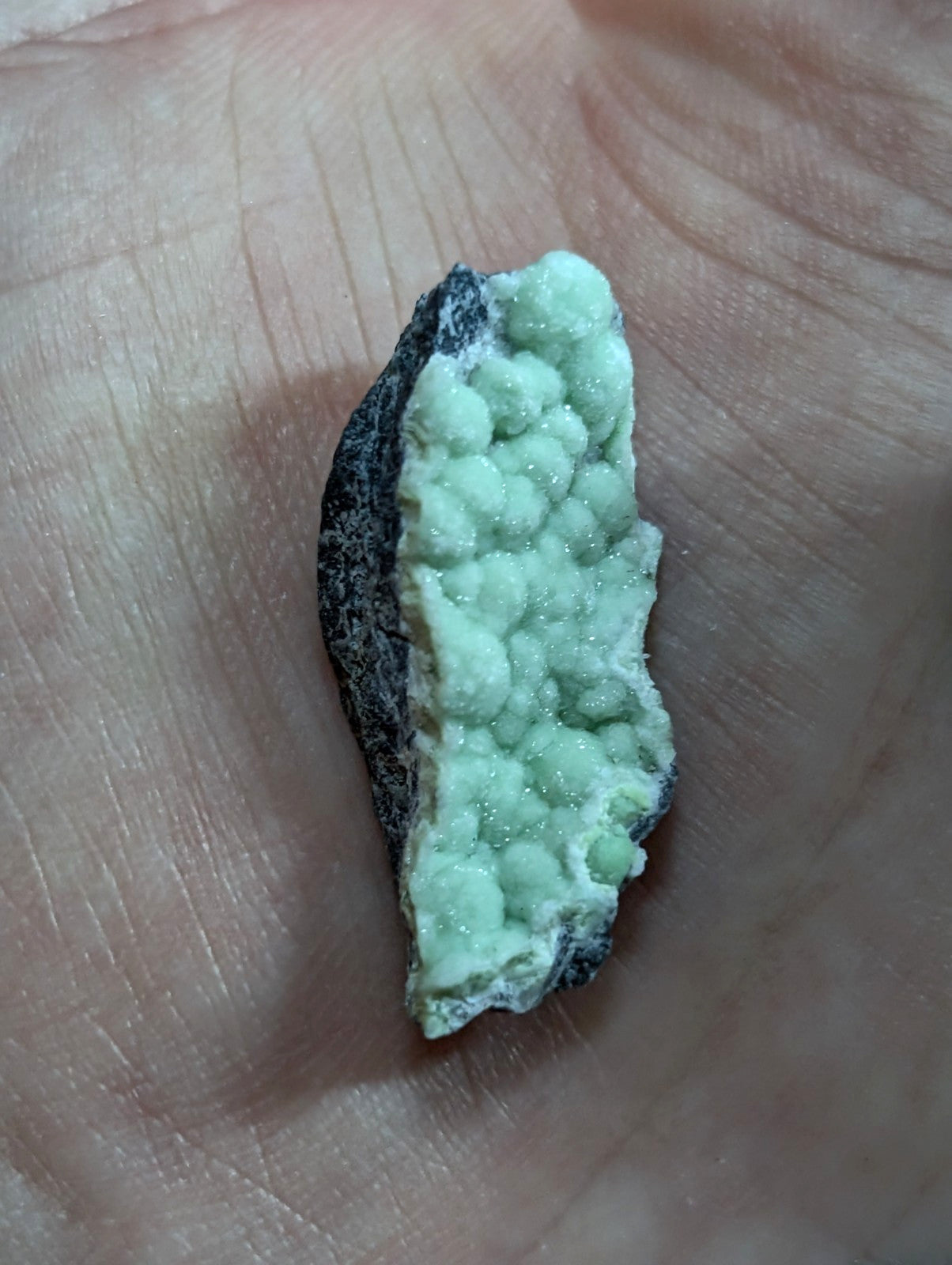 A pale green, bumpy mineral specimen with a dark matrix base.