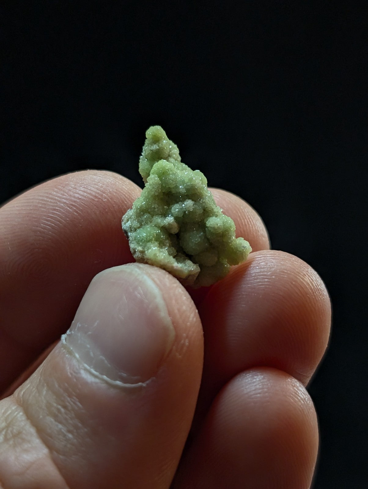 A small, textured green mineral specimen with a crystalline, branching structure.