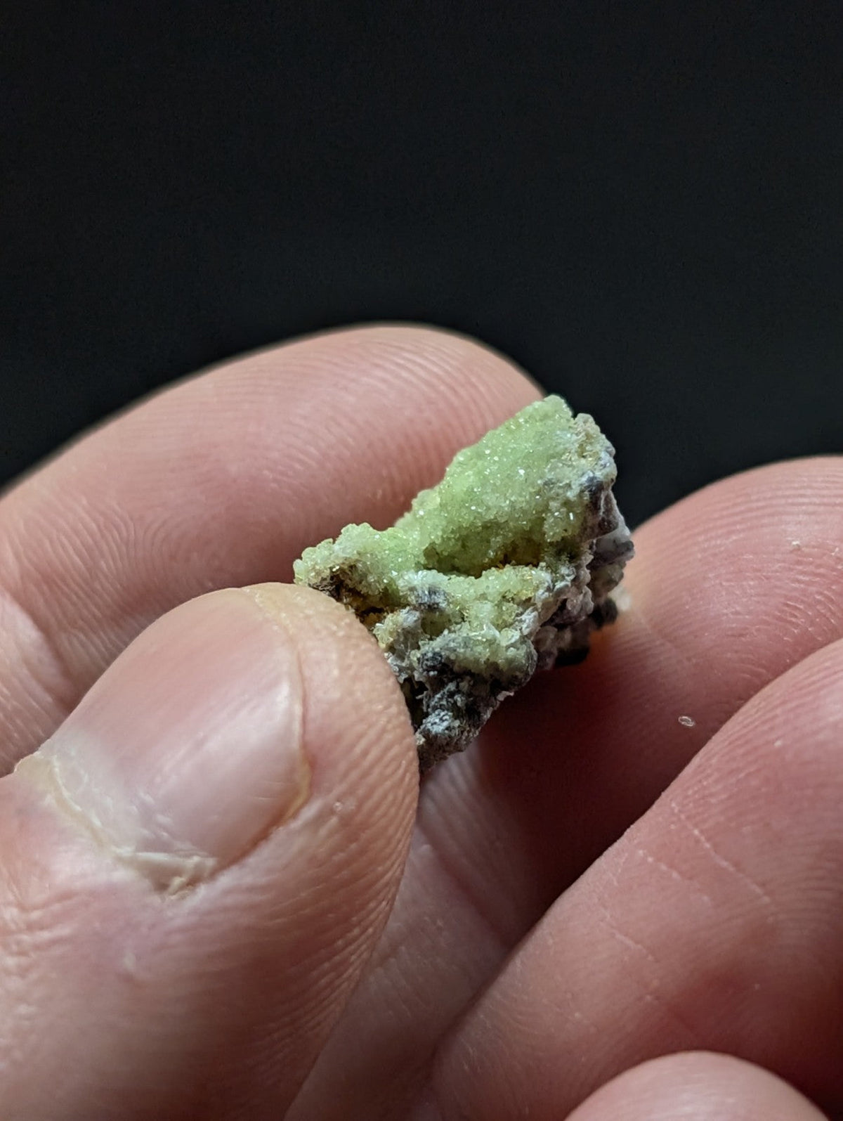 A small, textured green mineral specimen with a crystalline surface and dark gray matrix.