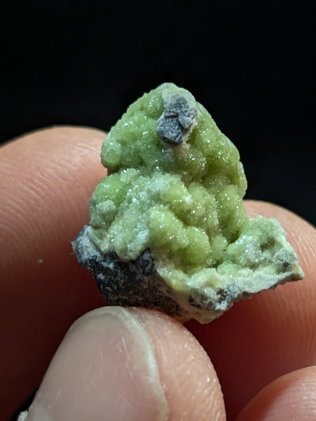A vibrant green, crystalline mineral specimen with a textured, bumpy surface and dark gray matrix base.