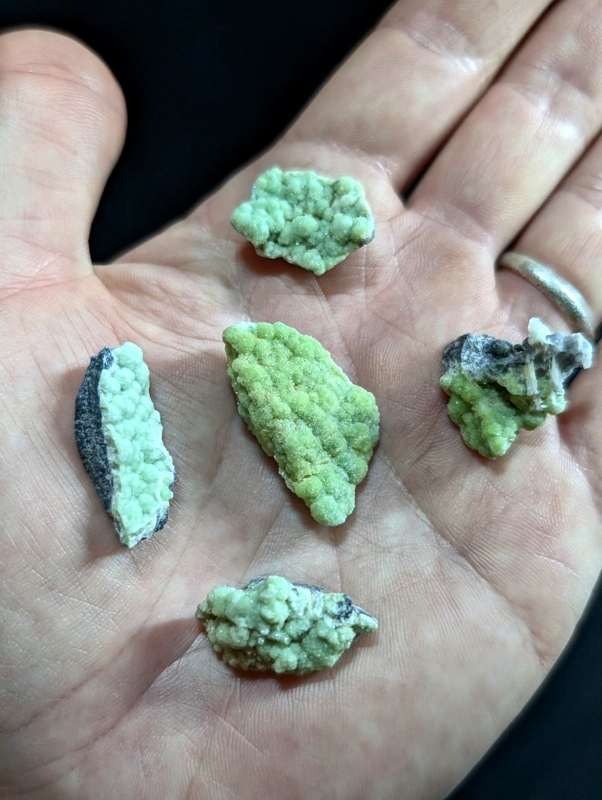A hand holds five irregularly shaped green mineral specimens with a rough, crystalline texture and some displaying dark veining.