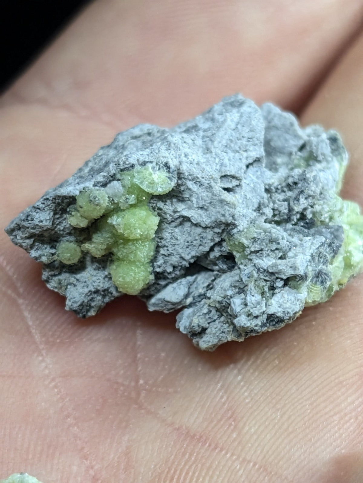 A hand holds a rough, gray rock specimen featuring clusters of vibrant green crystalline formations.