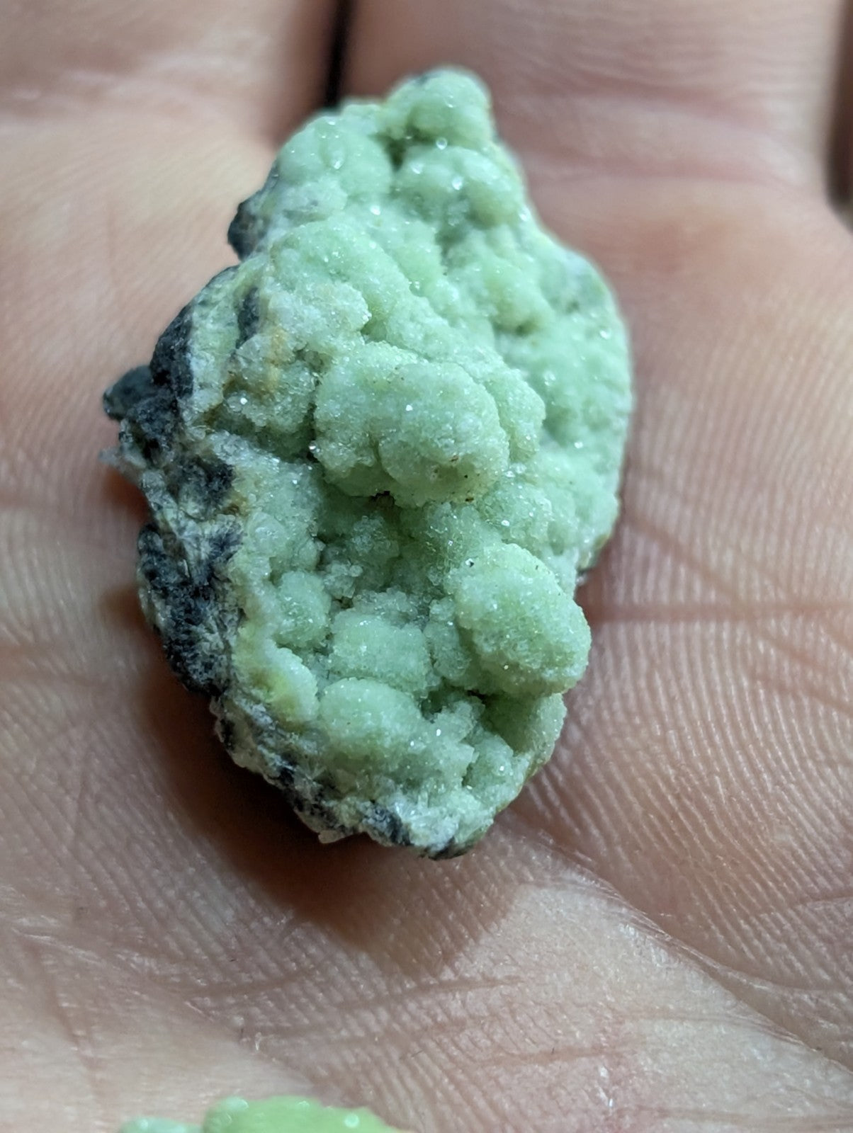 A pale green, crystalline mineral specimen with a rough, textured surface and dark gray matrix.