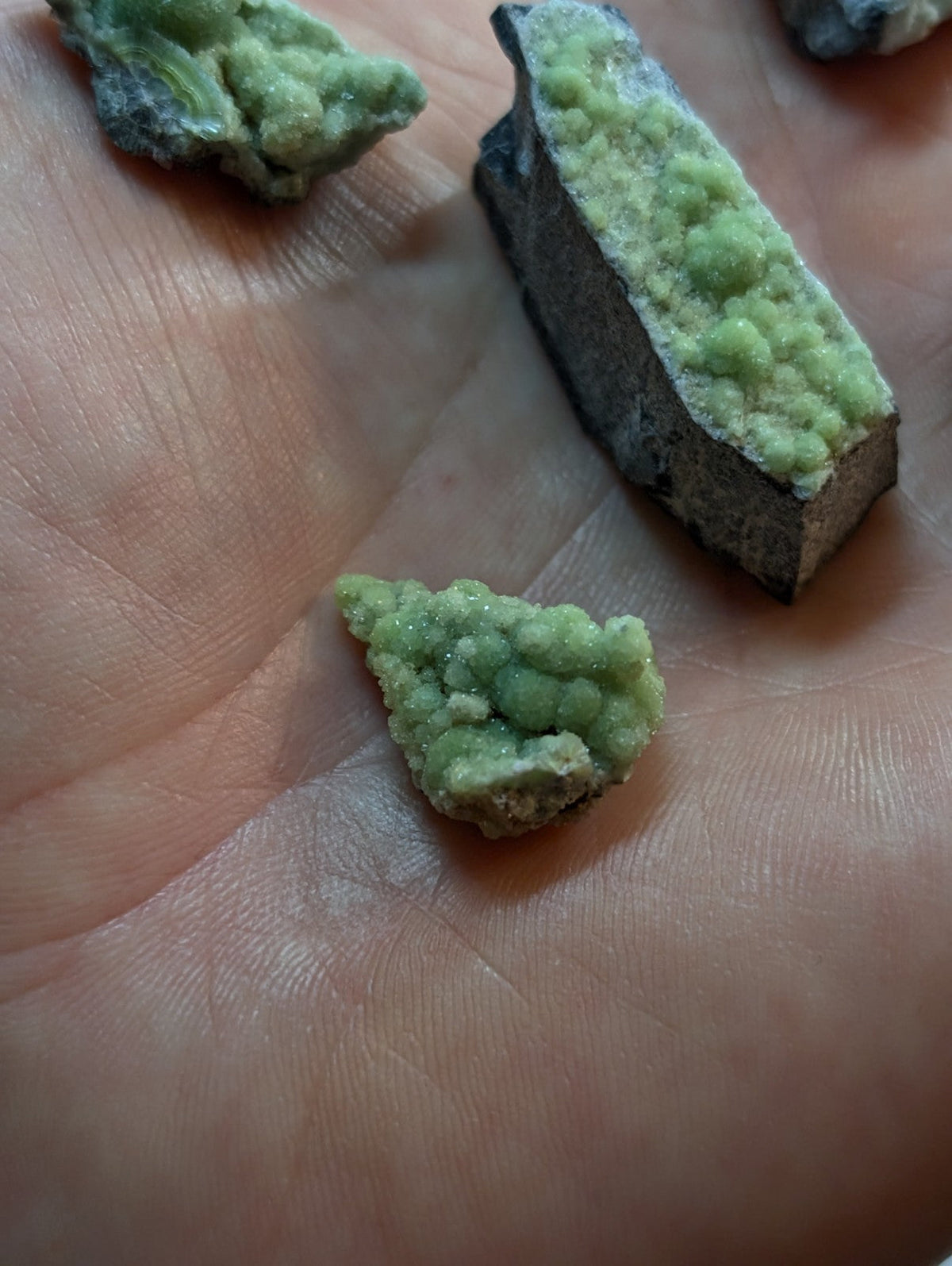Green crystalline mineral specimens with a rough, textured surface and dark gray matrix.