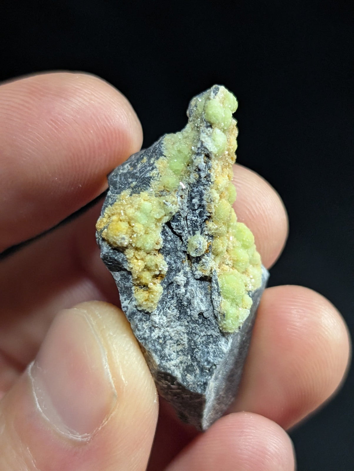 A hand holds a dark gray rock specimen featuring clusters of vibrant green and yellow crystalline formations.