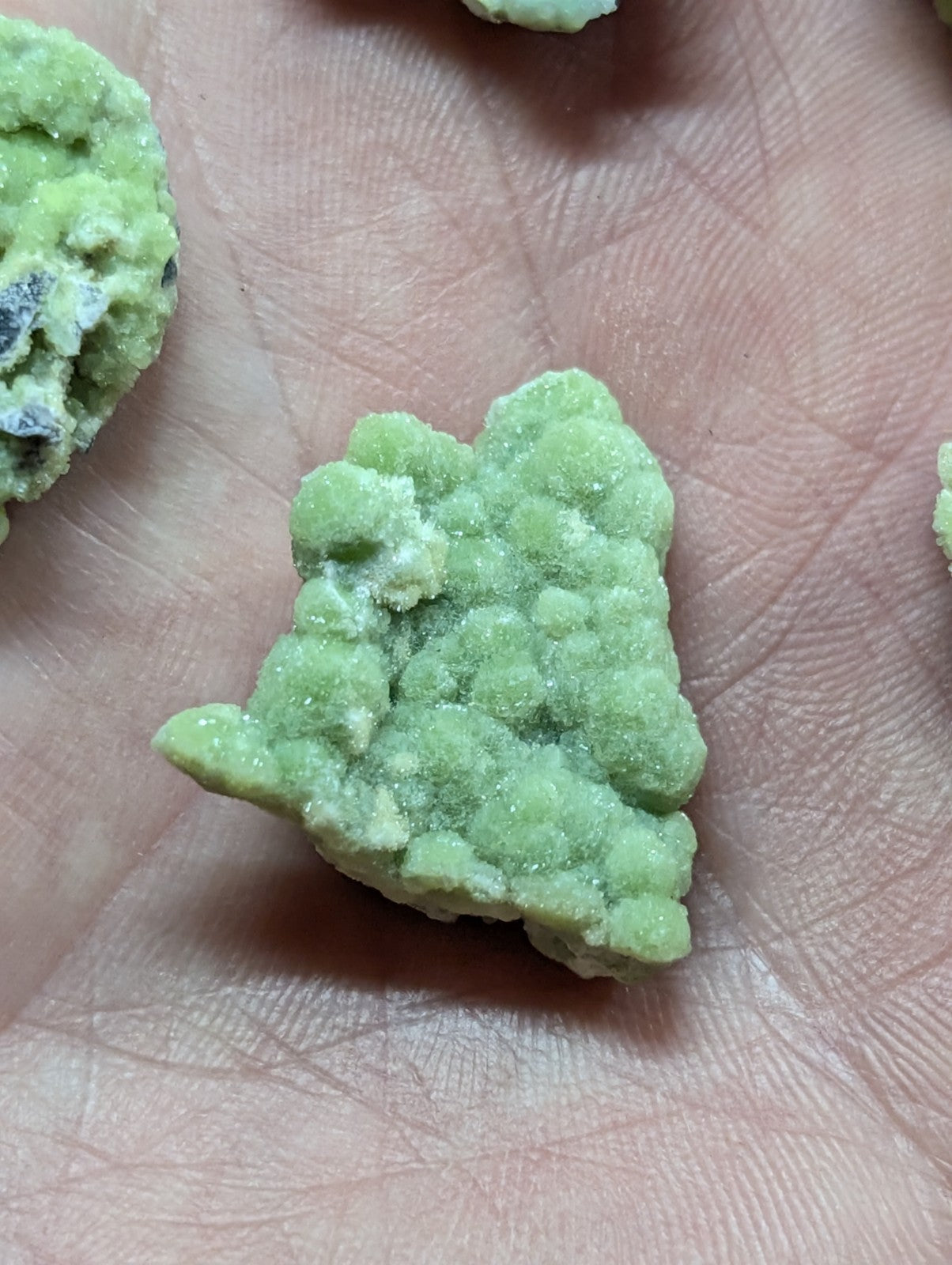 A textured, light green mineral specimen with a crystalline surface resting on skin.